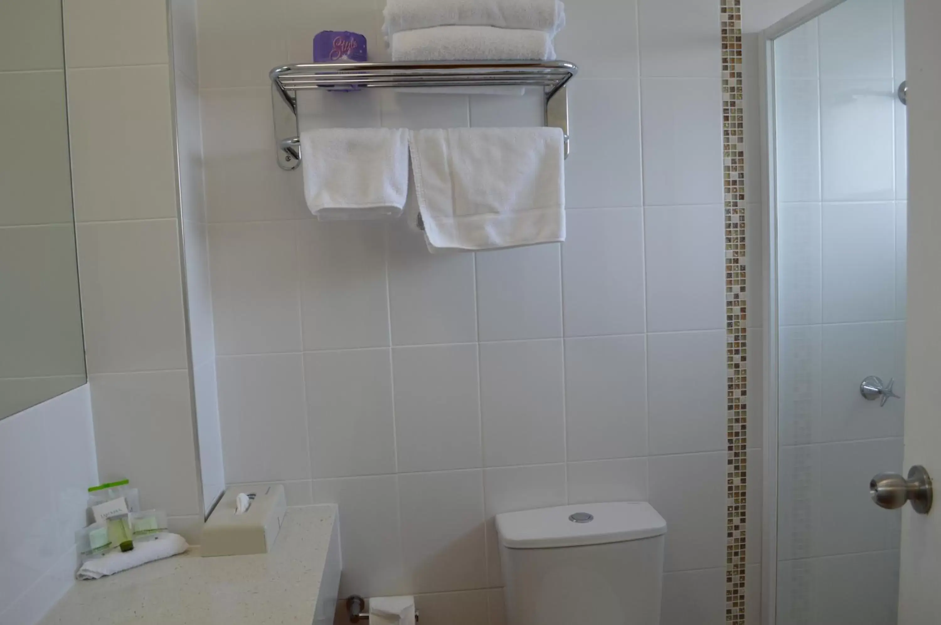 Shower, Bathroom in Best Western Parkside Motor Inn