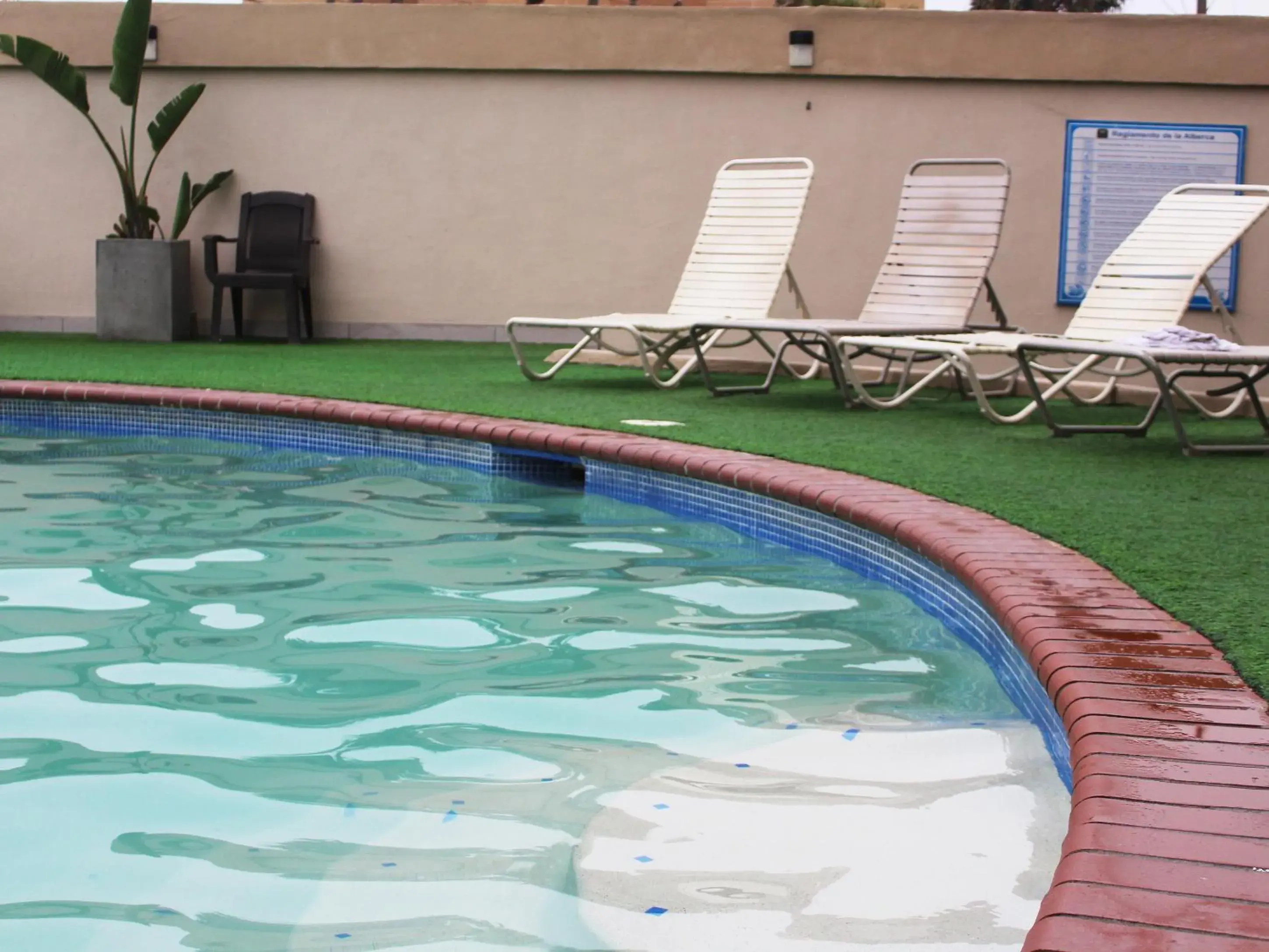 Area and facilities, Swimming Pool in Hotel Corona Plaza