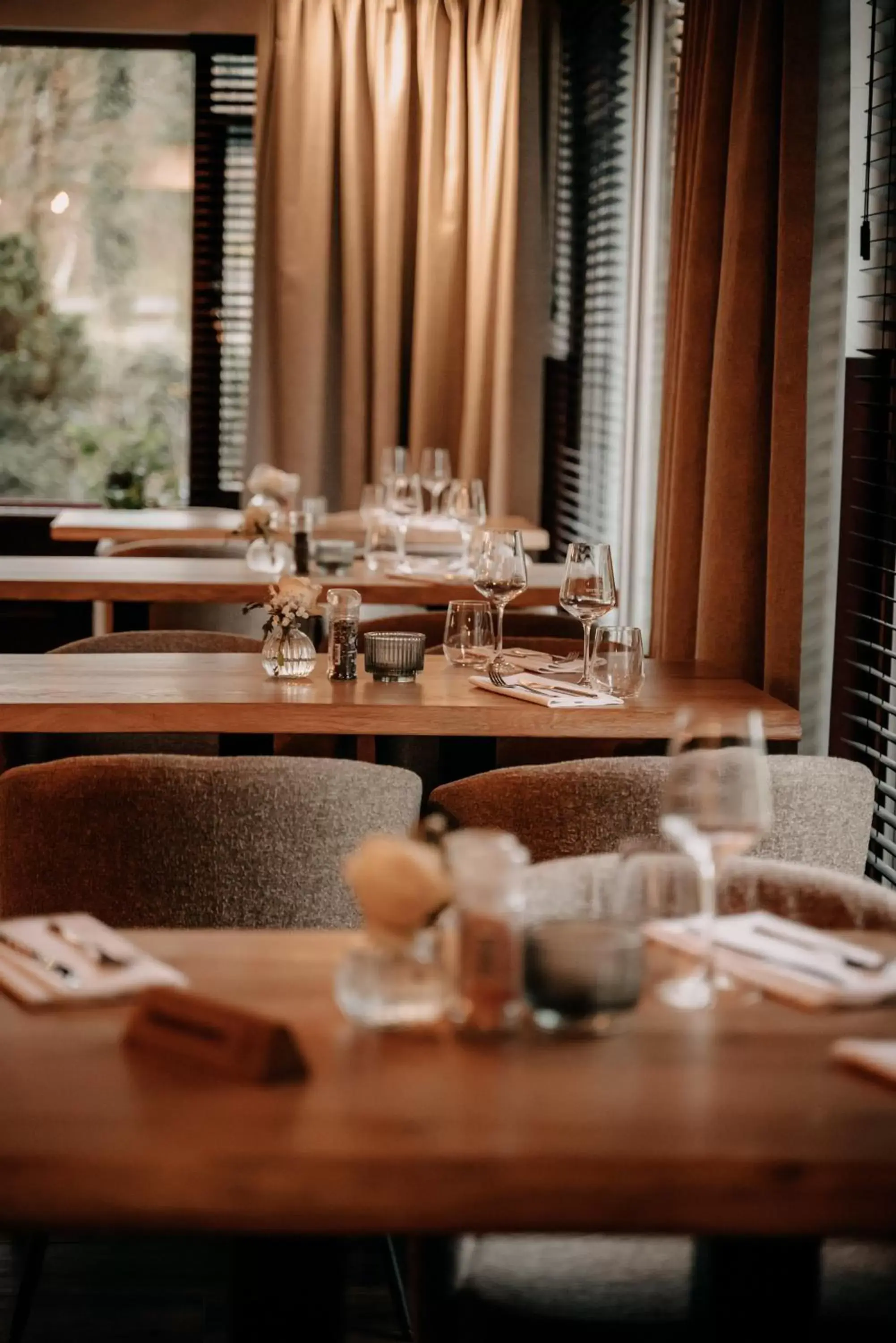 Restaurant/places to eat in Witte Berken Natuurhotel