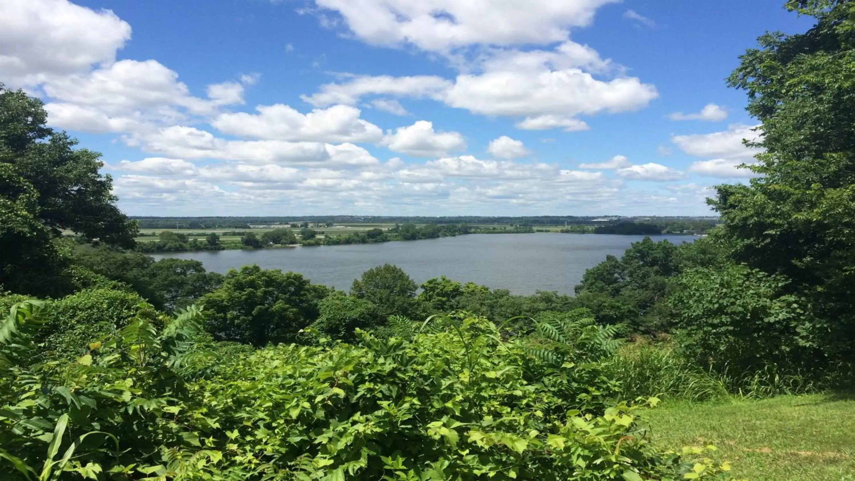 Nearby landmark in Staybridge Suites St Louis - Westport, an IHG hotel