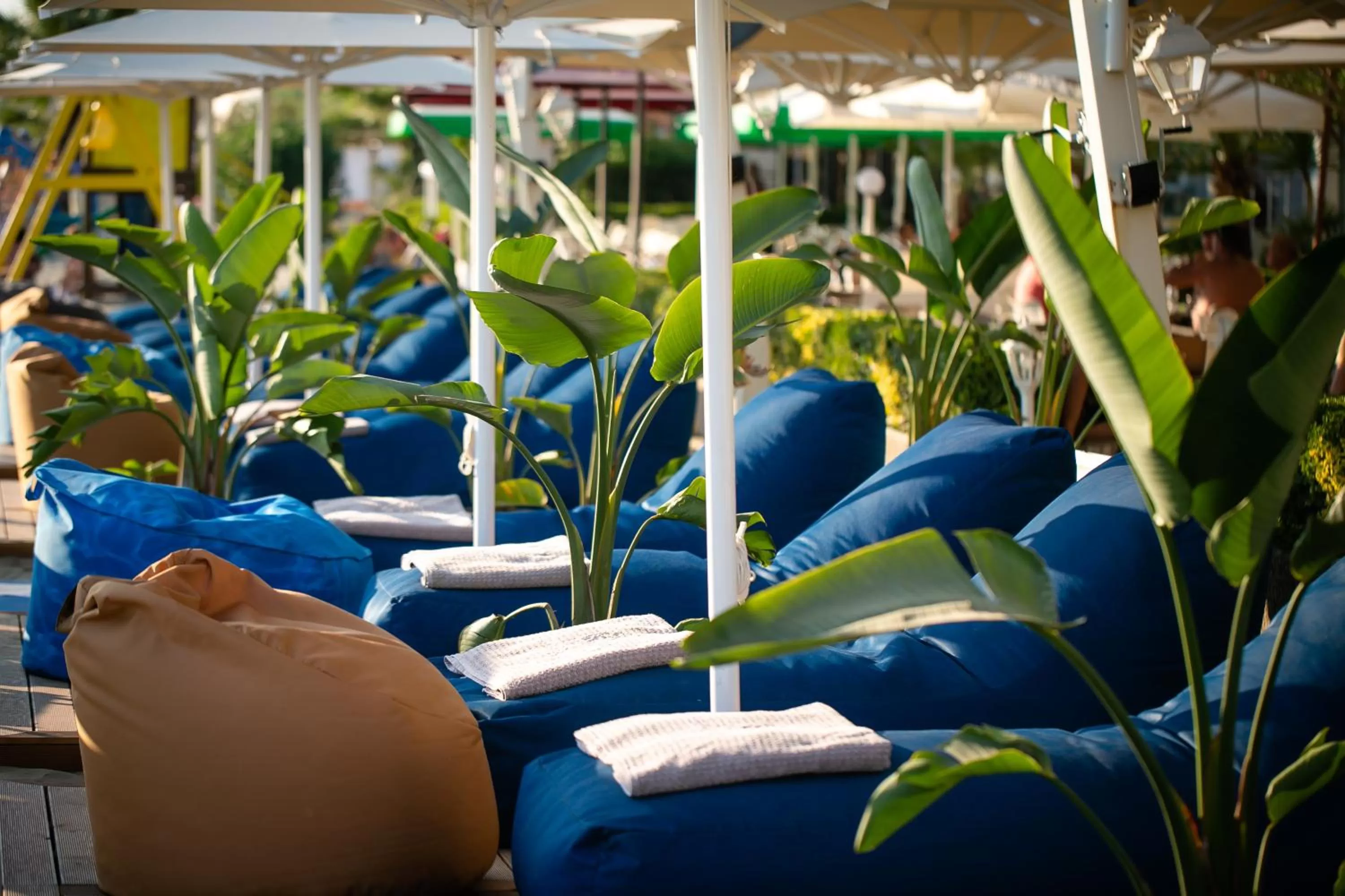 Beach in Iliria Internacional Hotel