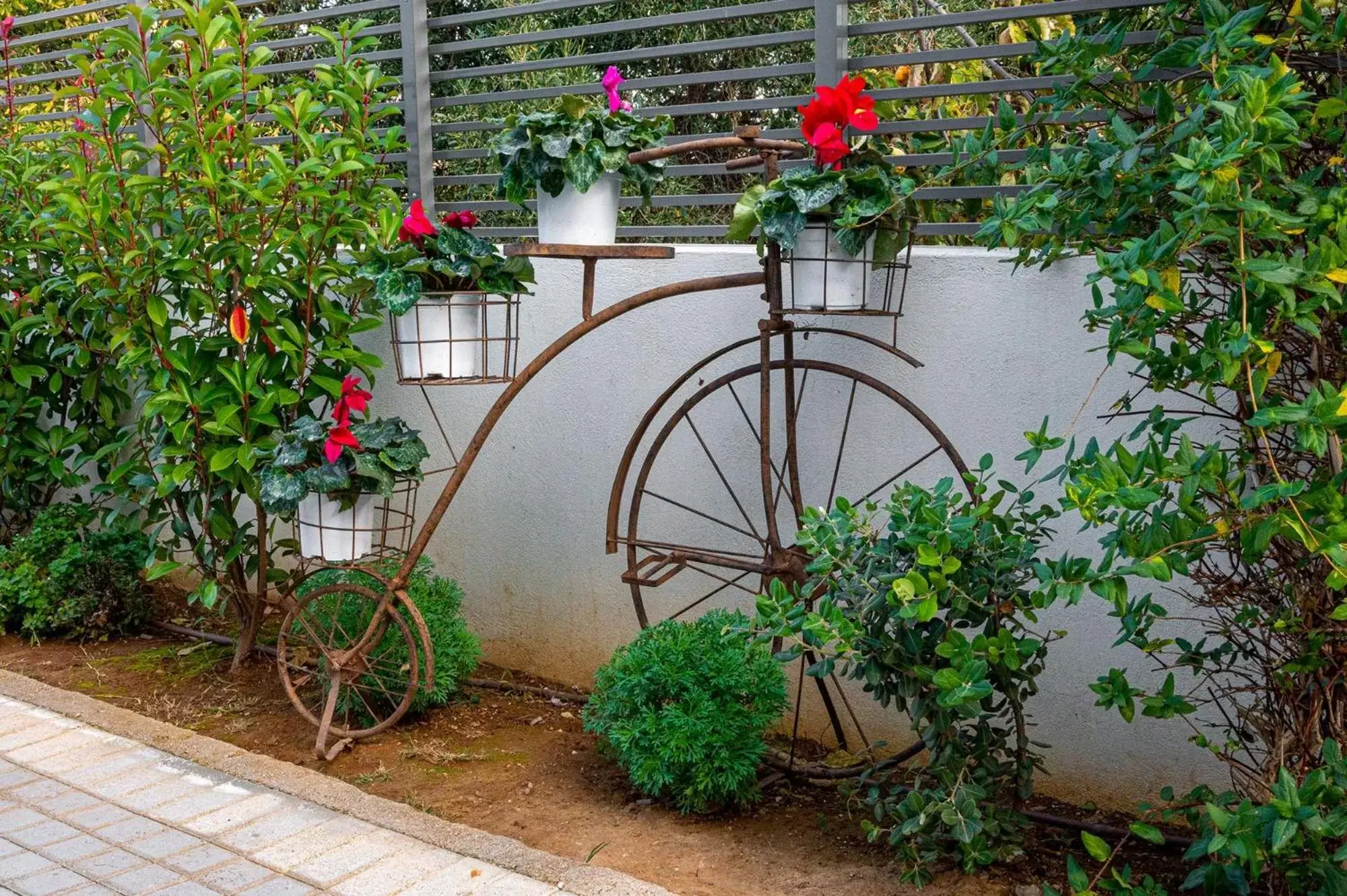 Garden in Comfort Stay Airport Studios - FREE shuttle from the Athens airport