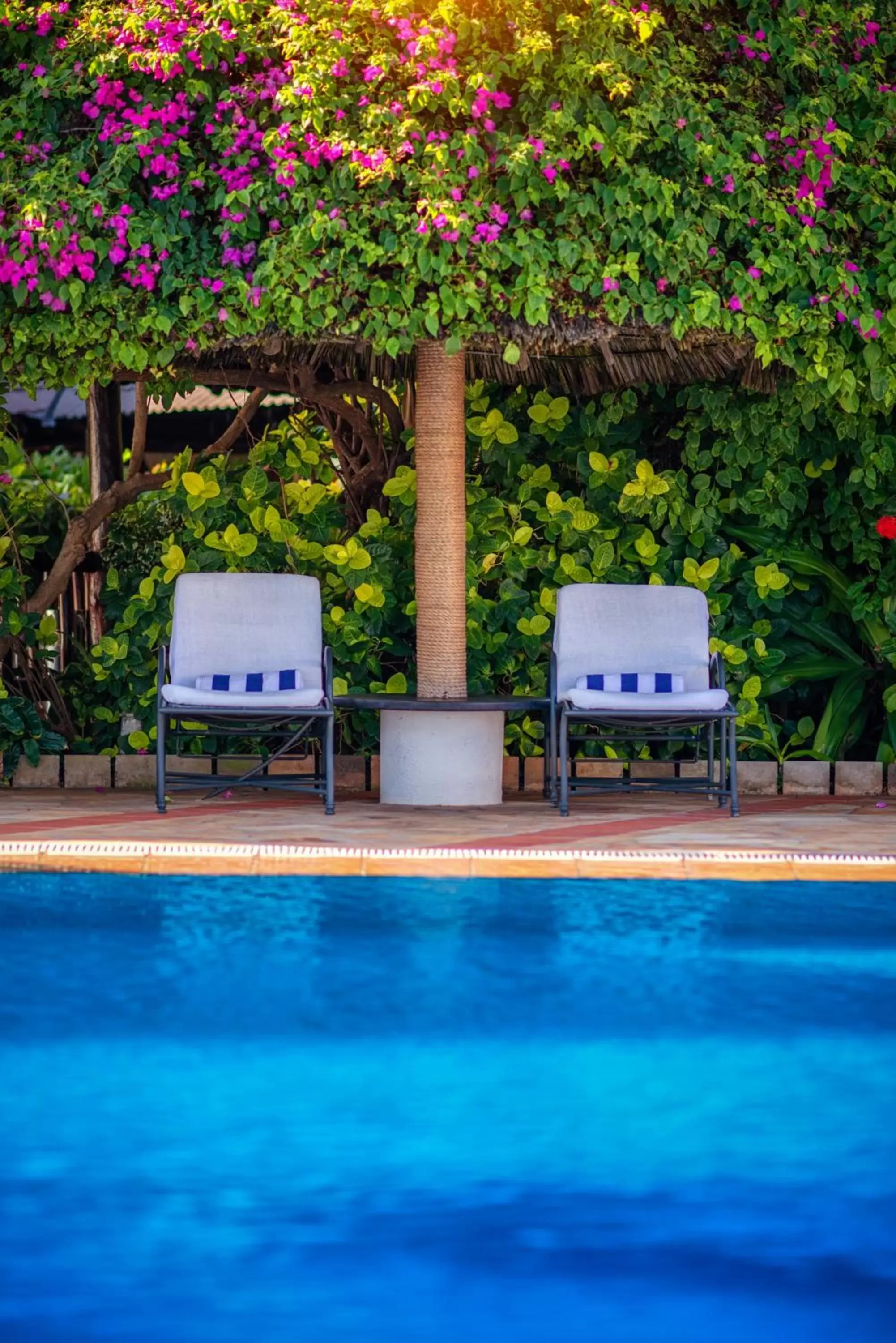 Swimming pool in Sea Cliff Hotel