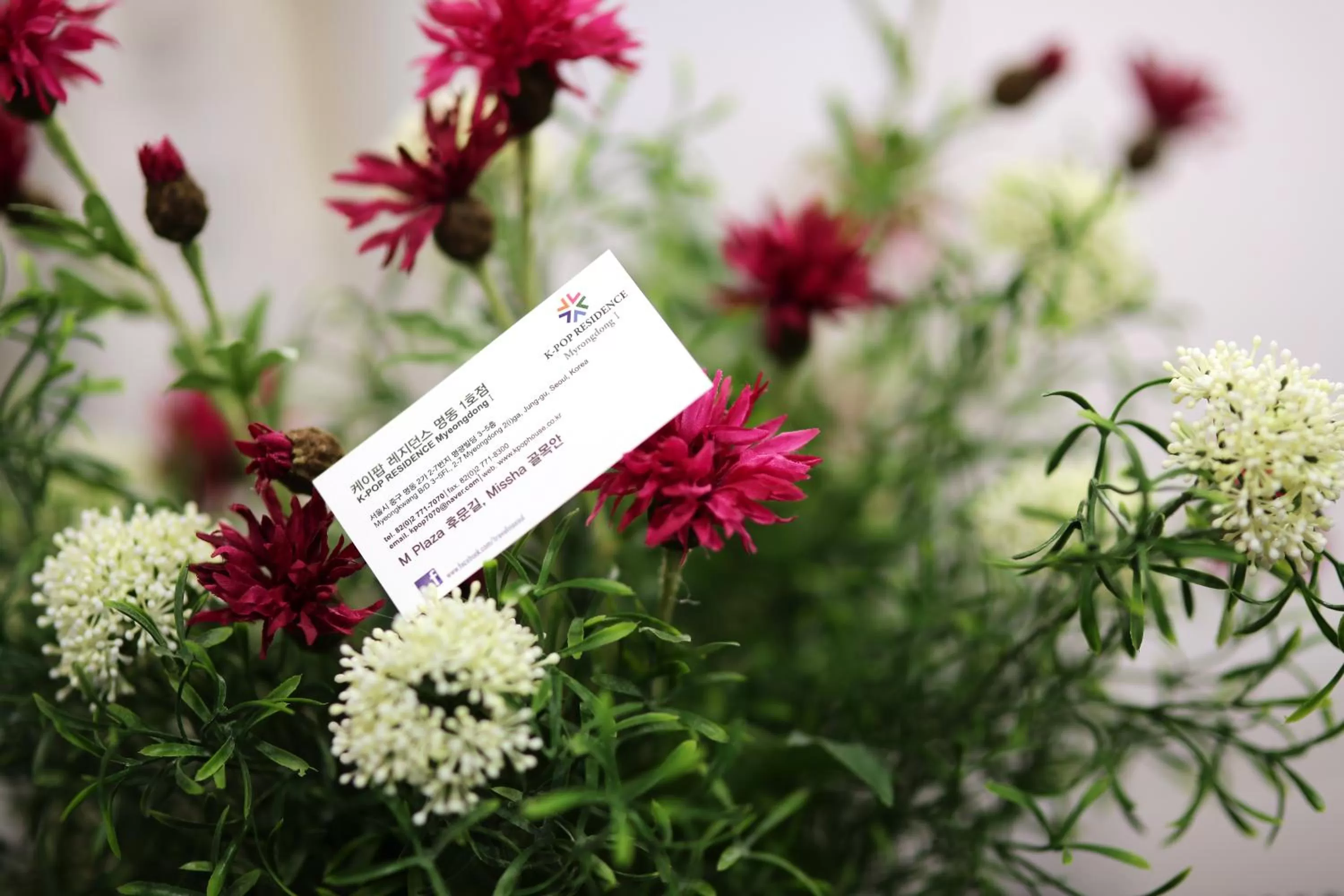 Other in K-POP Residence Myeongdong 1