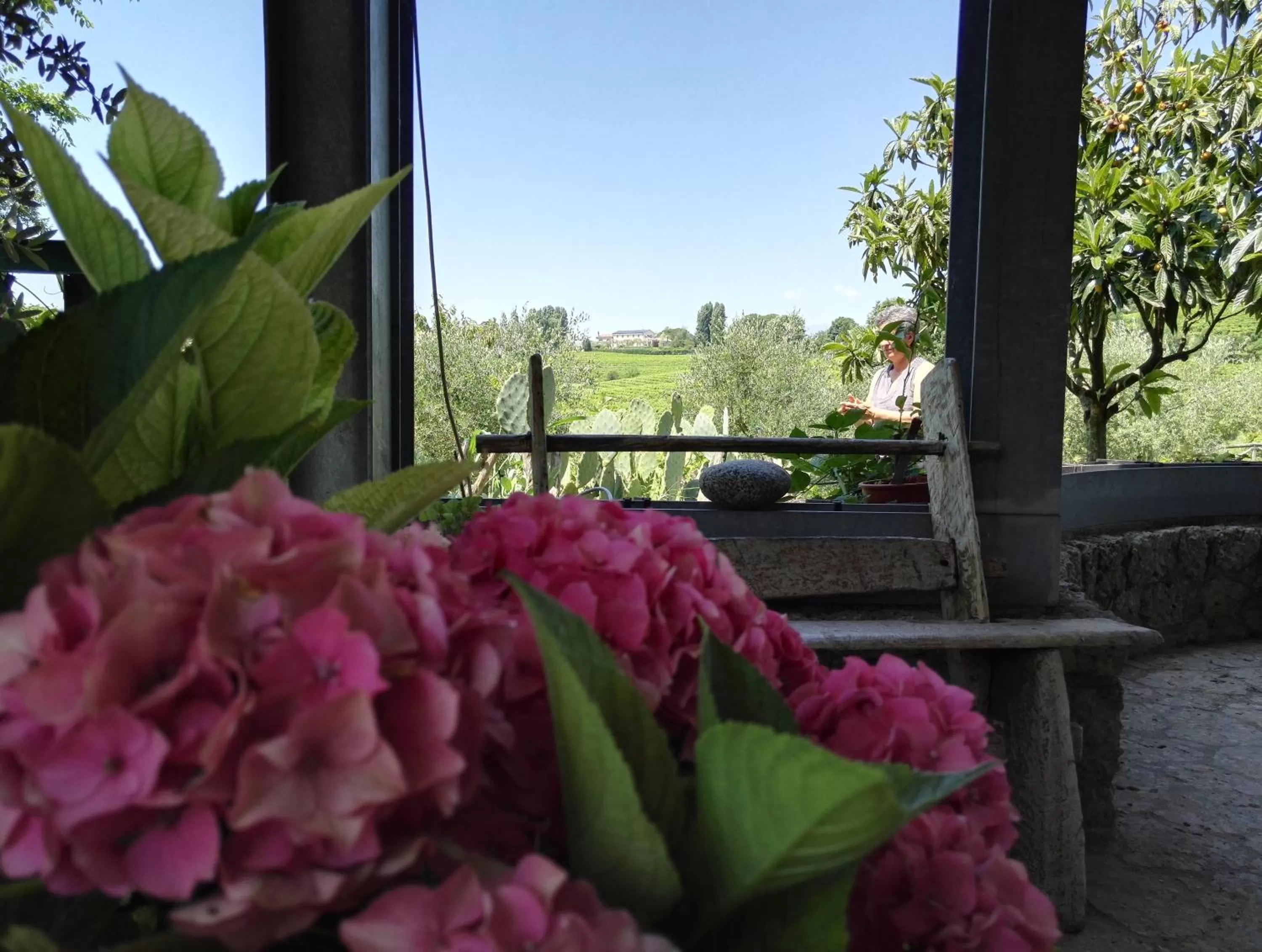 Garden in Il giuggiolo