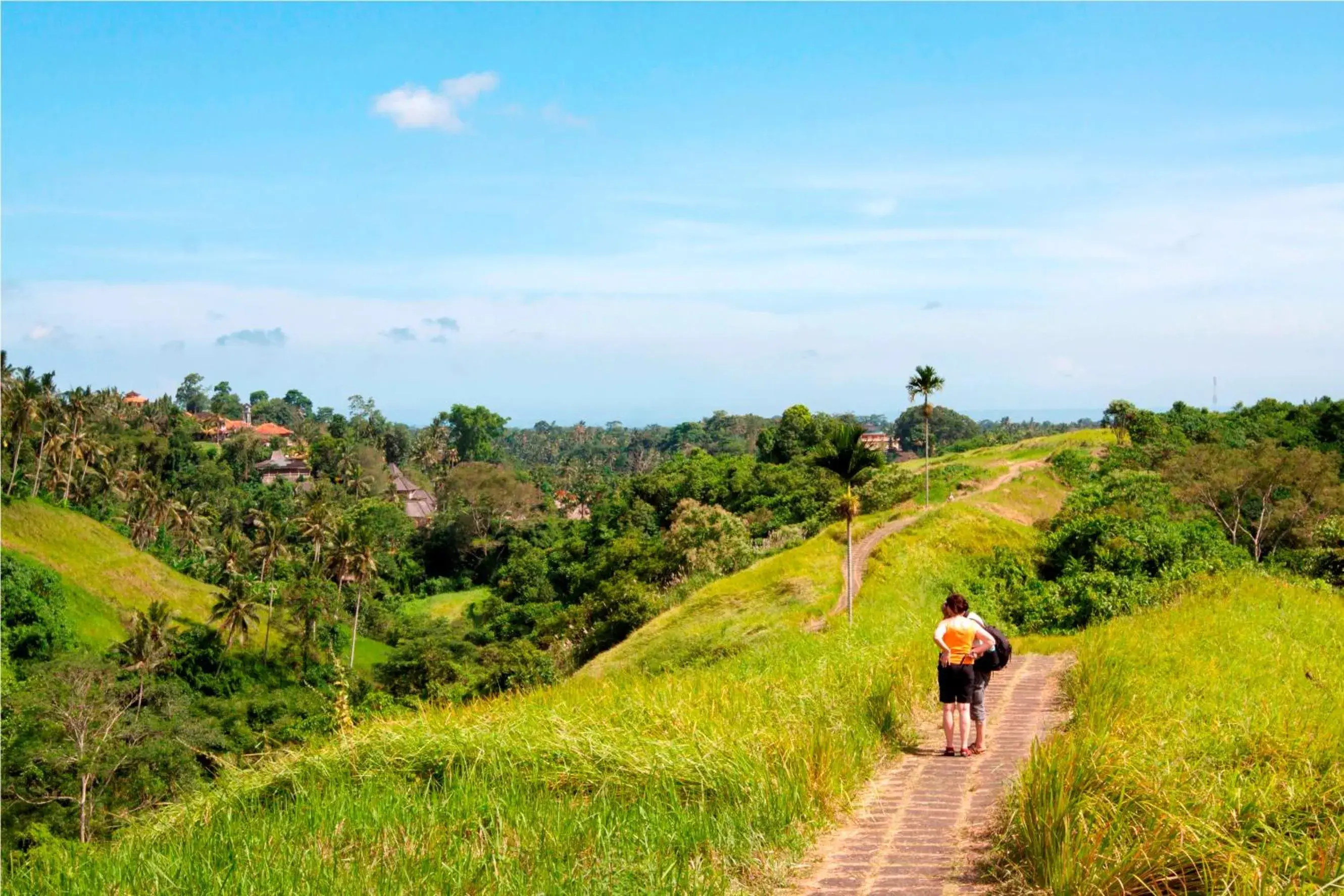 Nearby landmark in The Lokha Ubud Resort Villas and Spa