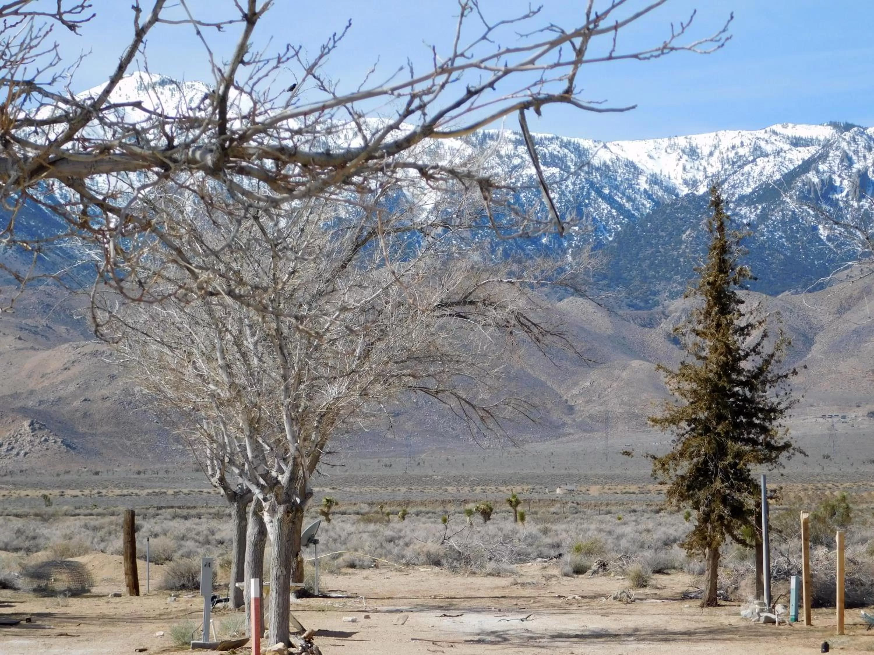 Day in Olancha RV Park and Motel