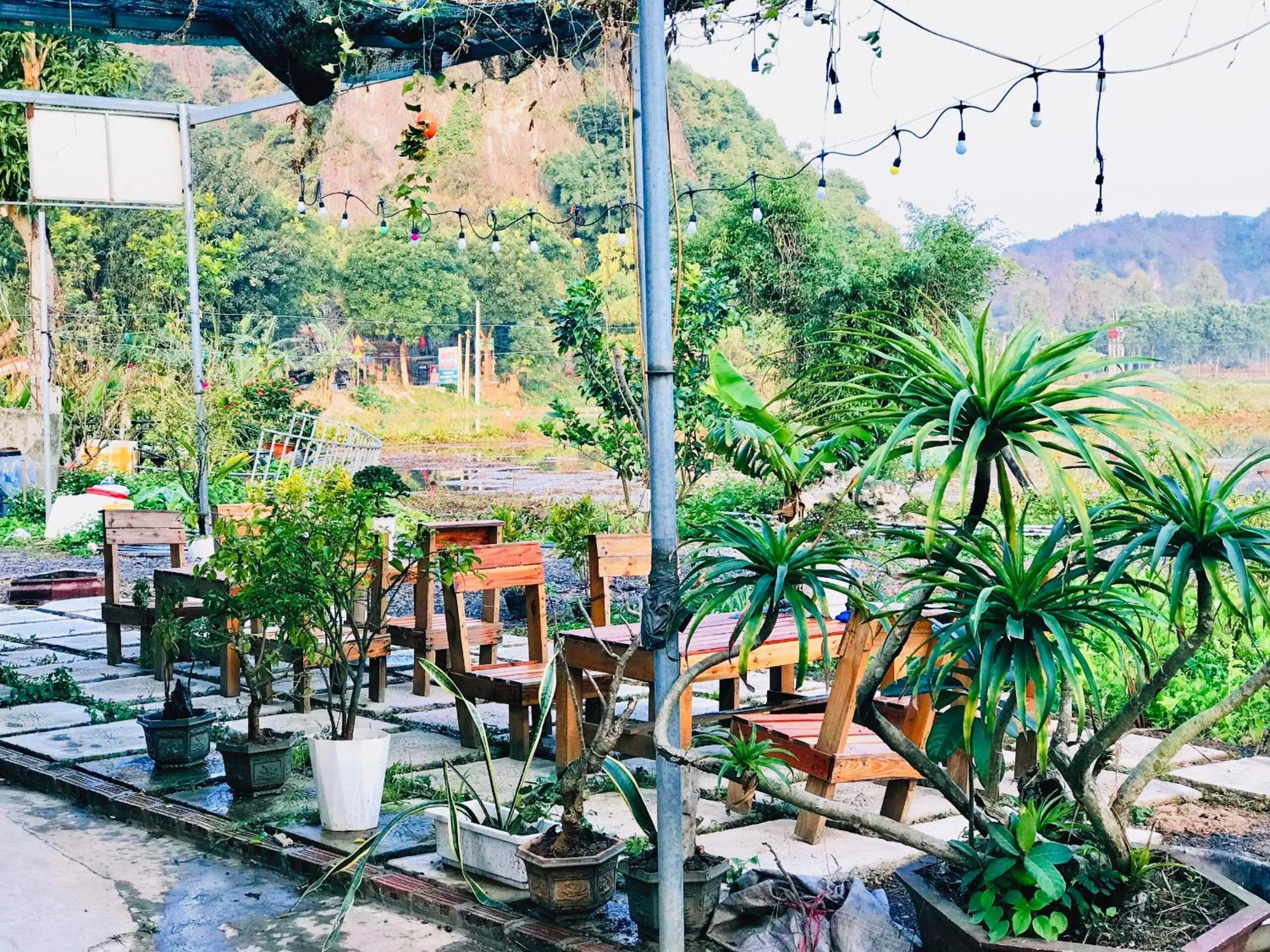 Tam Coc Mountain View Homestay