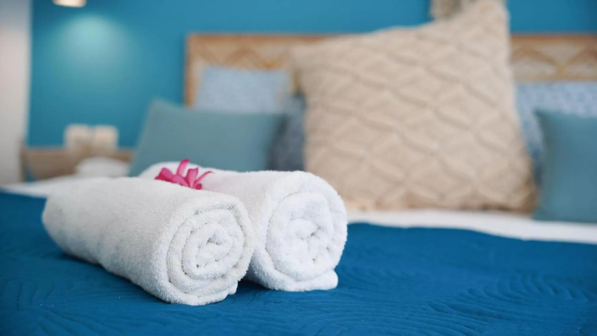 Bed in The White Bay