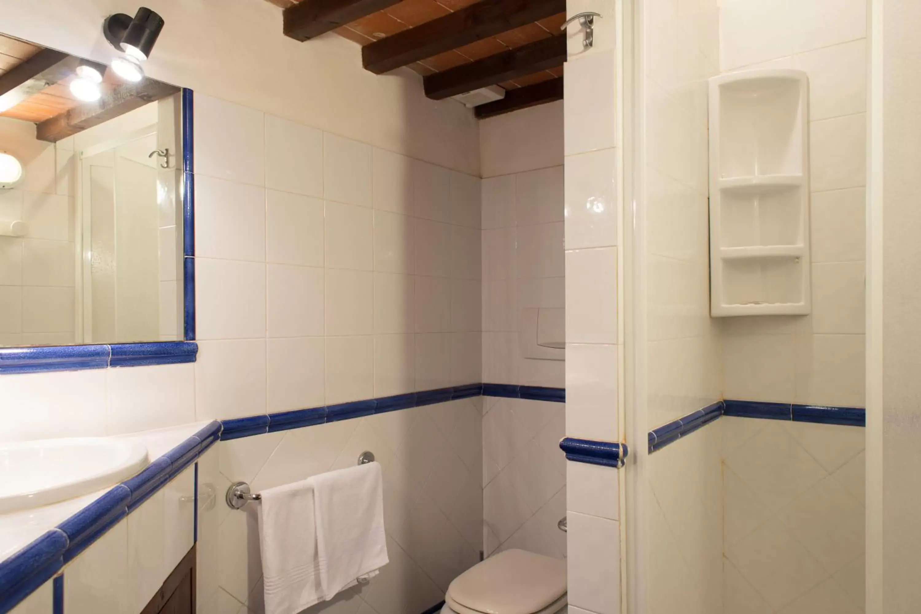 Shower, Bathroom in Residenza D'Epoca Palazzo Buonaccorsi