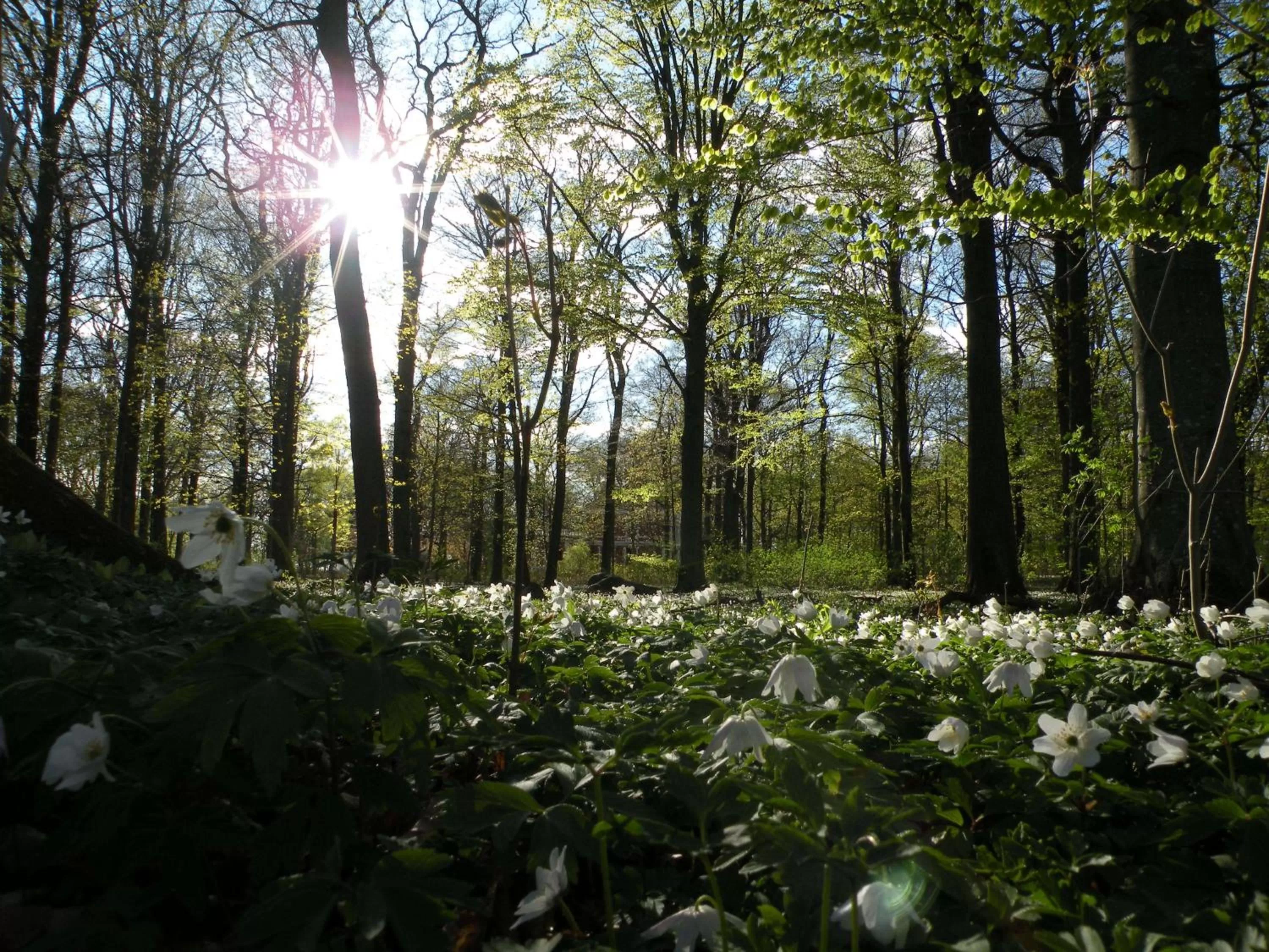 Area and facilities in Best Western Valhall Park Hotell