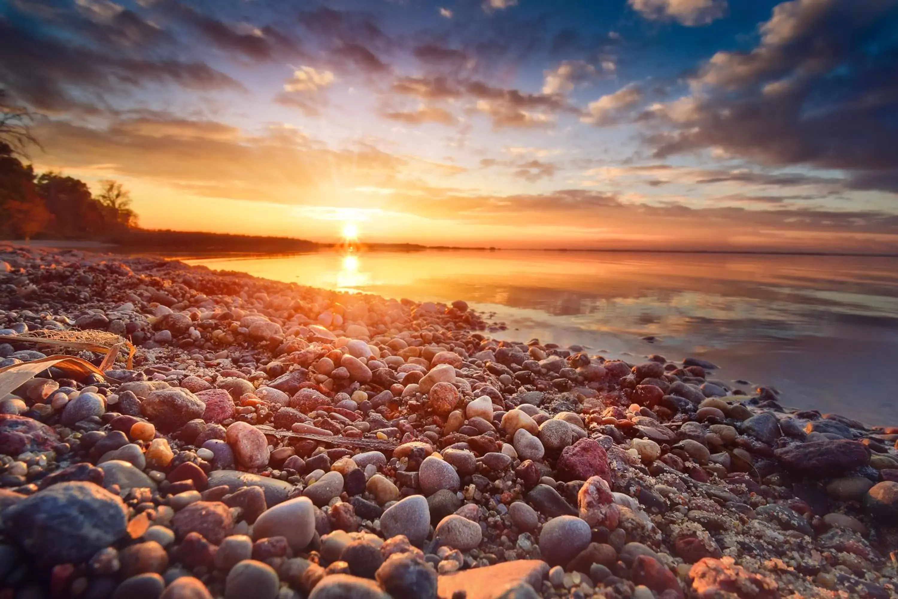 Natural landscape in Hotel Wald und See