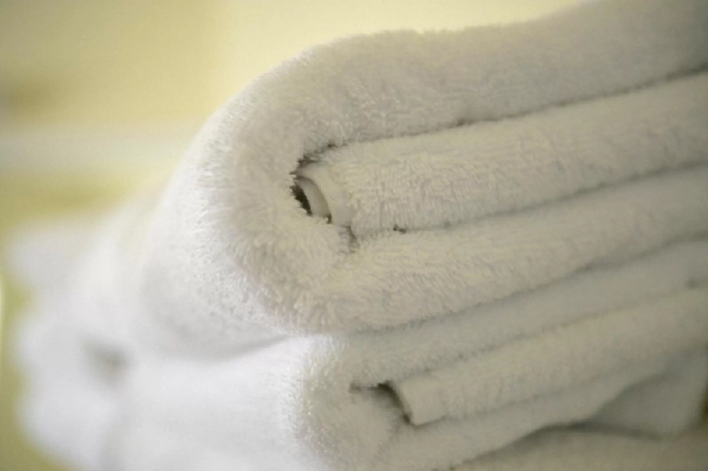 Bathroom in Chancellor Motor Lodge and Conference Centre