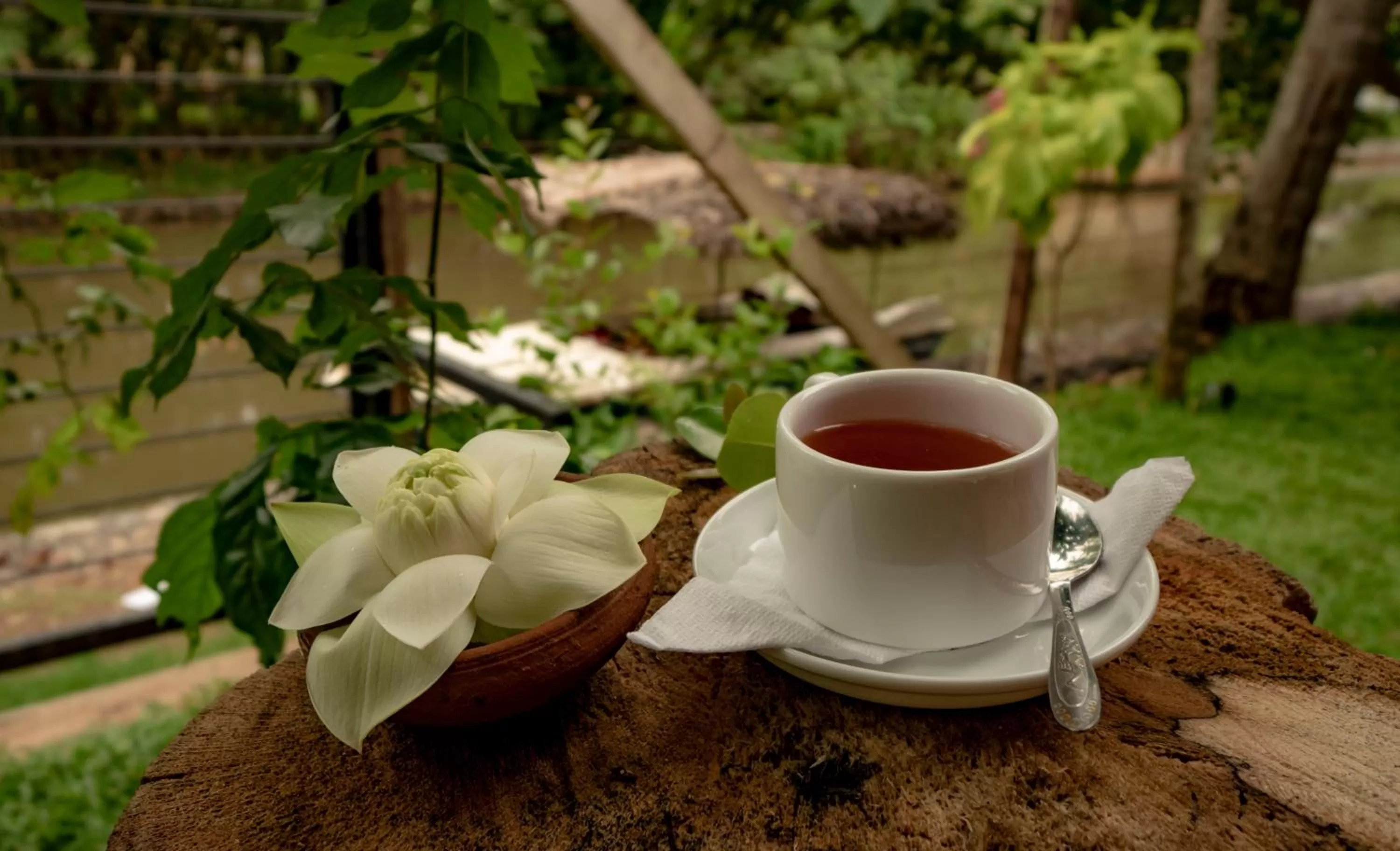 Breakfast in Ayur Ayur Resort & Ayurveda Retreat