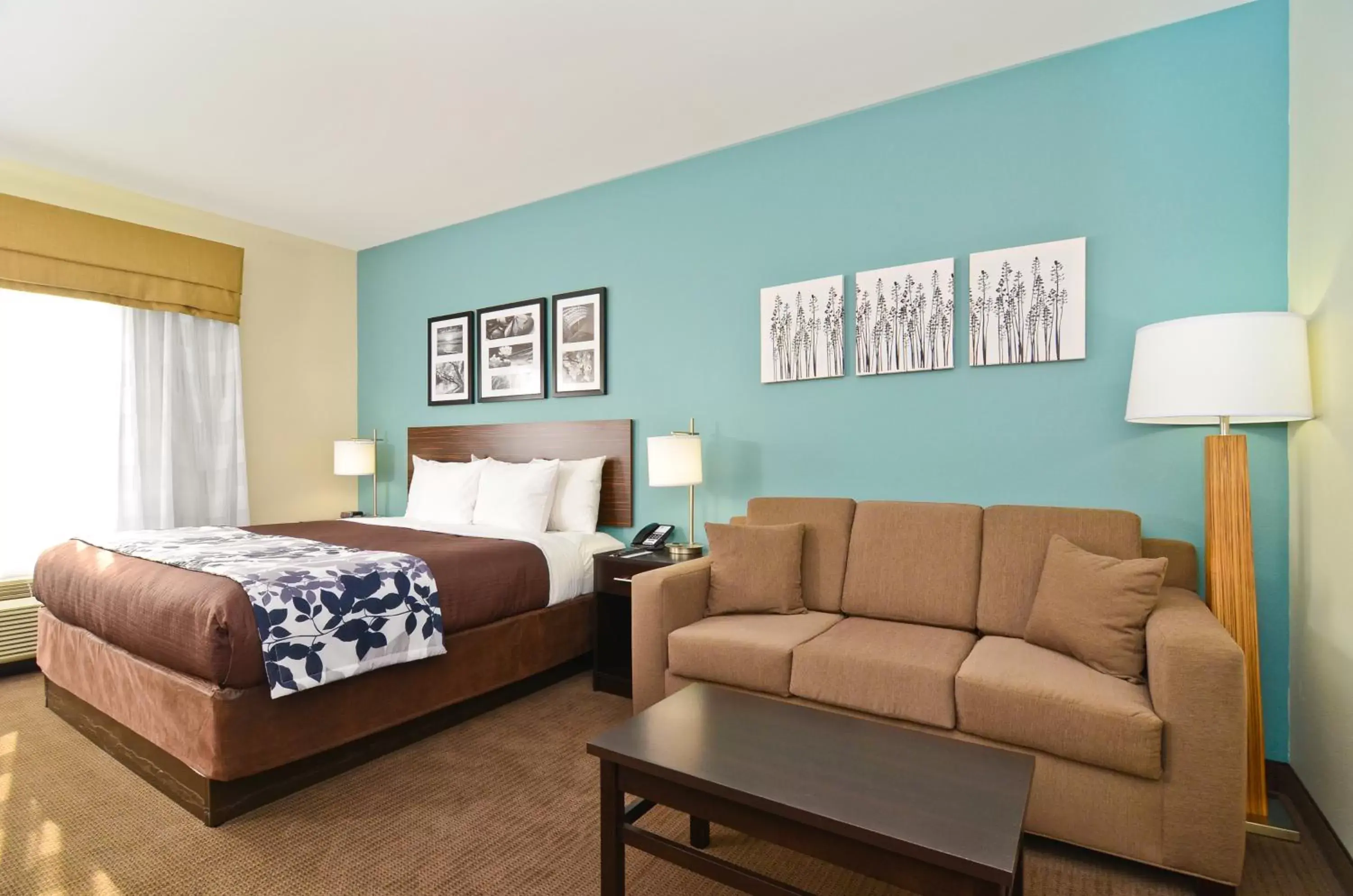 King Suite with Sofa Bed - Non-Smoking in Sleep Inn & Suites Austin