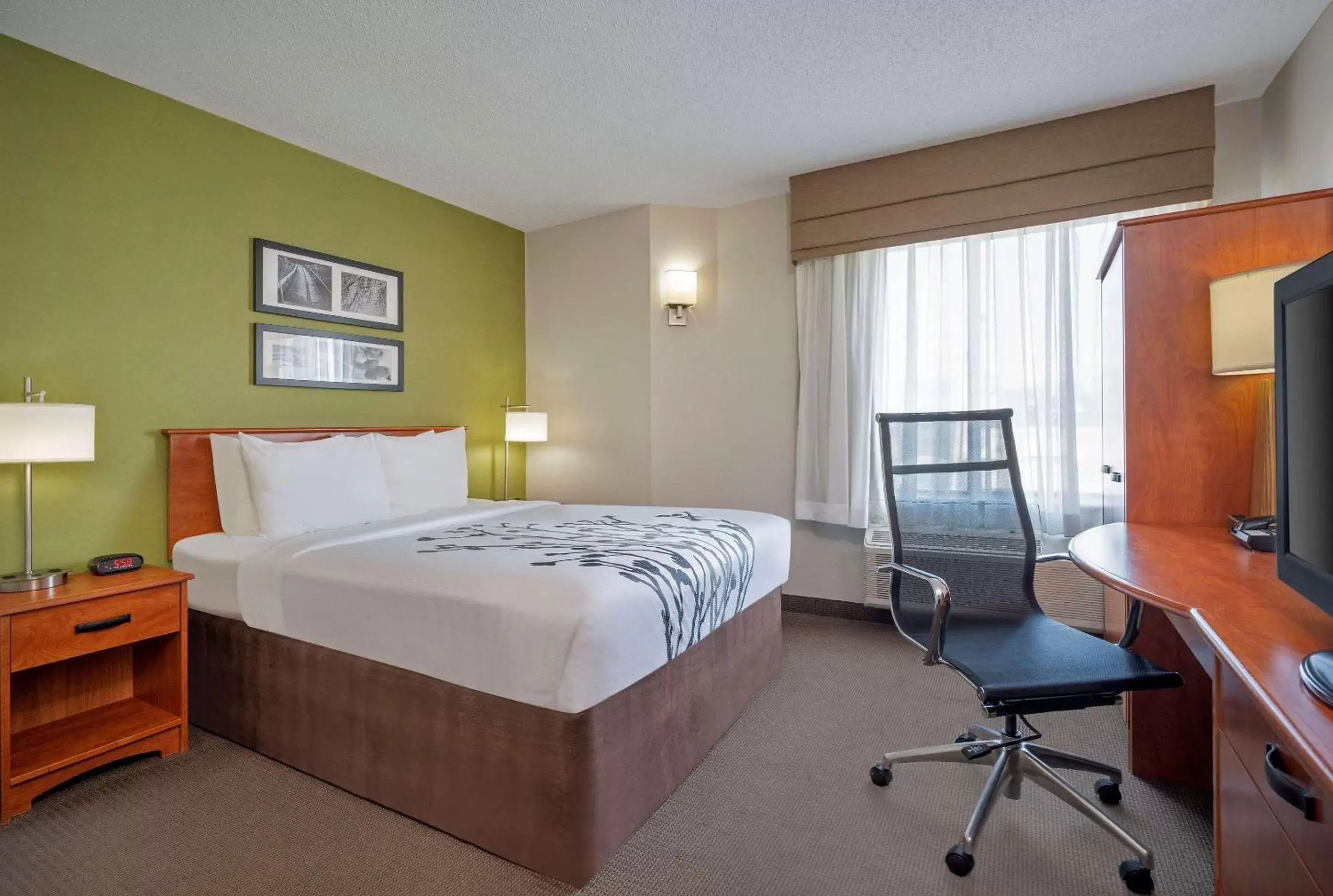 Photo of the whole room, Bed in Sleep Inn Midway Airport Bedford Park