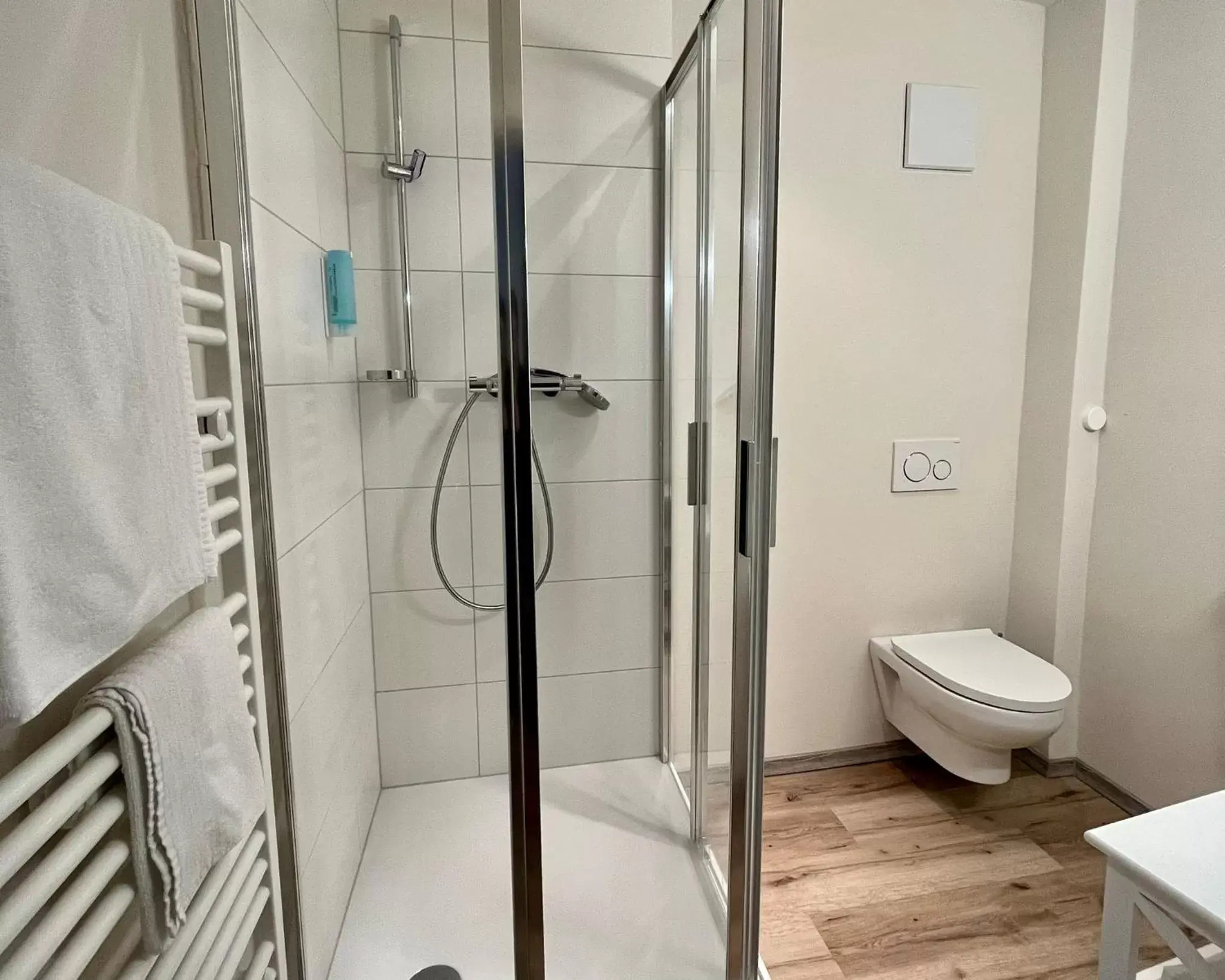 Shower, Bathroom in Hotel Goldener Löwe