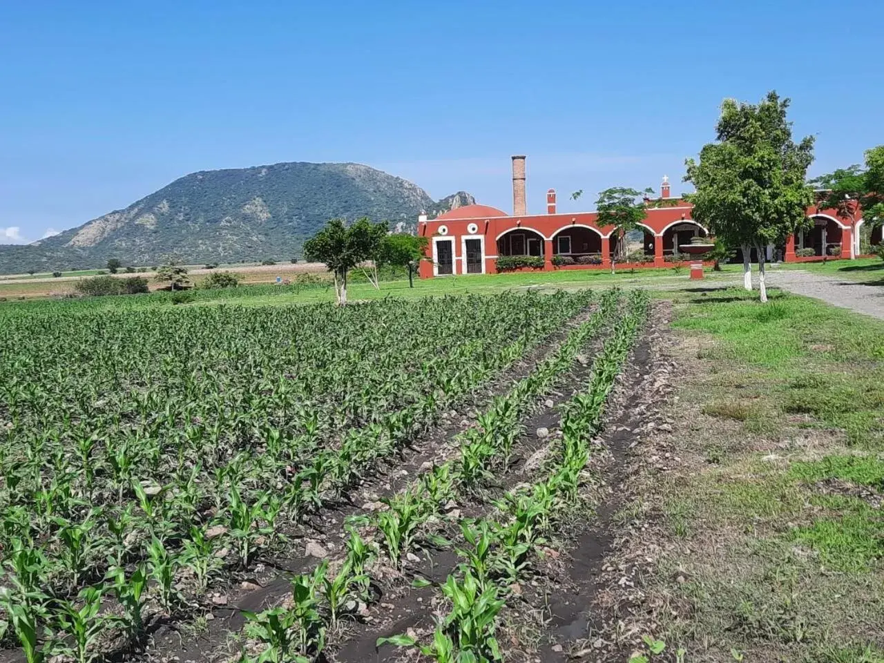 Hacienda Santa Clara Morelos