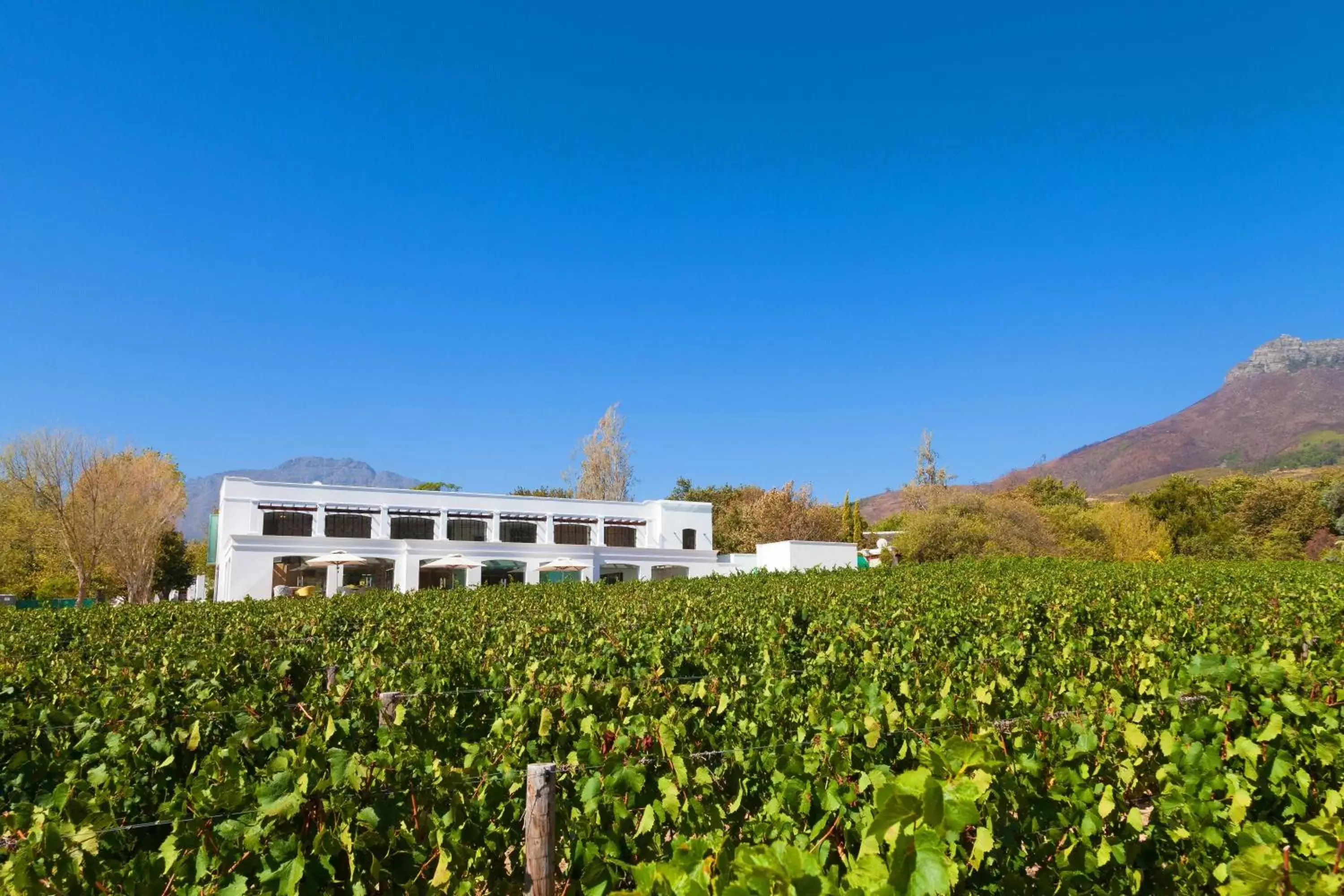 View (from property/room), Property Building in Lanzerac Hotel & Spa