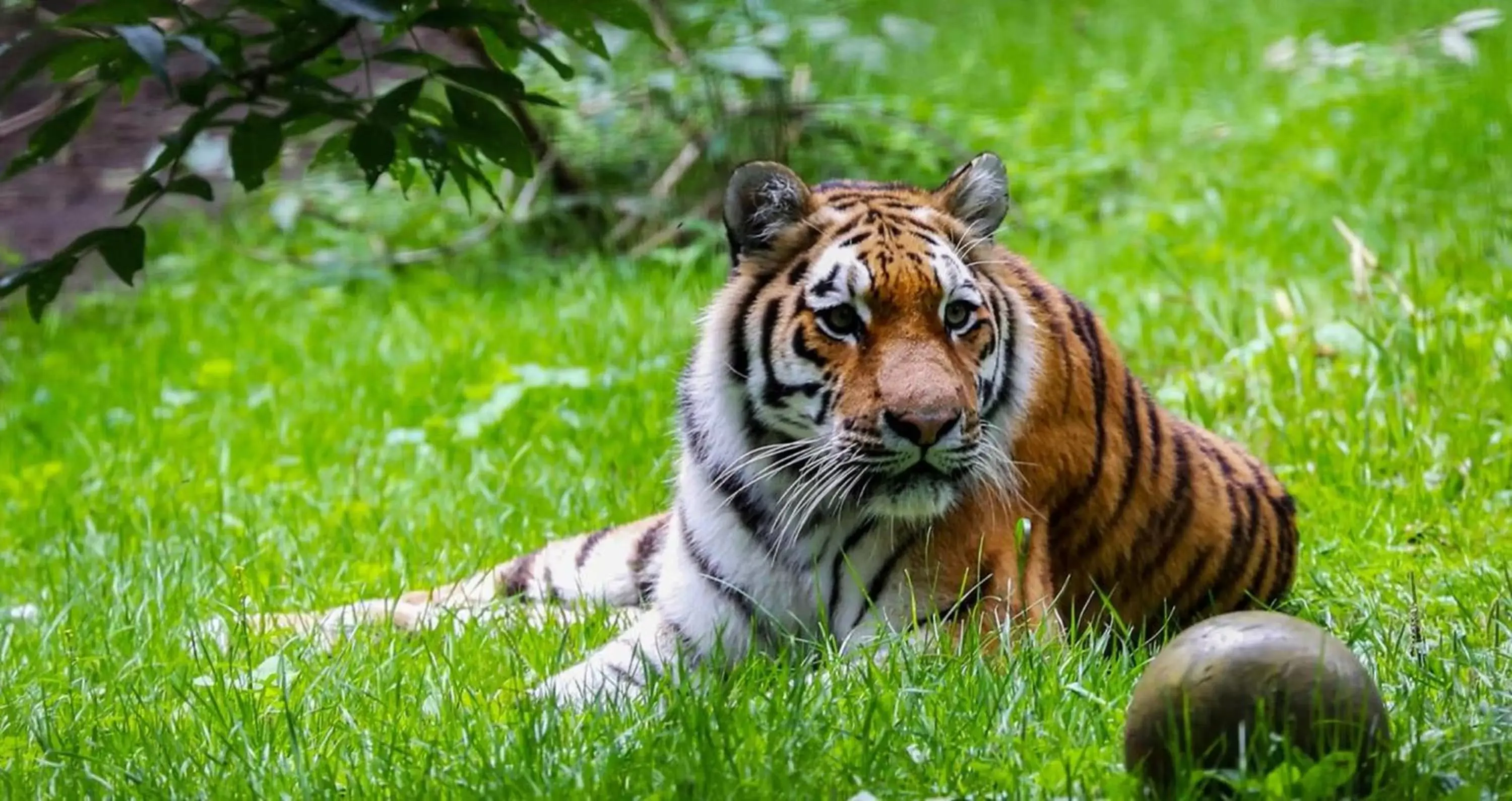 Nearby landmark, Pets in Holiday Inn Express Folkestone Channel Tunnel, an IHG Hotel