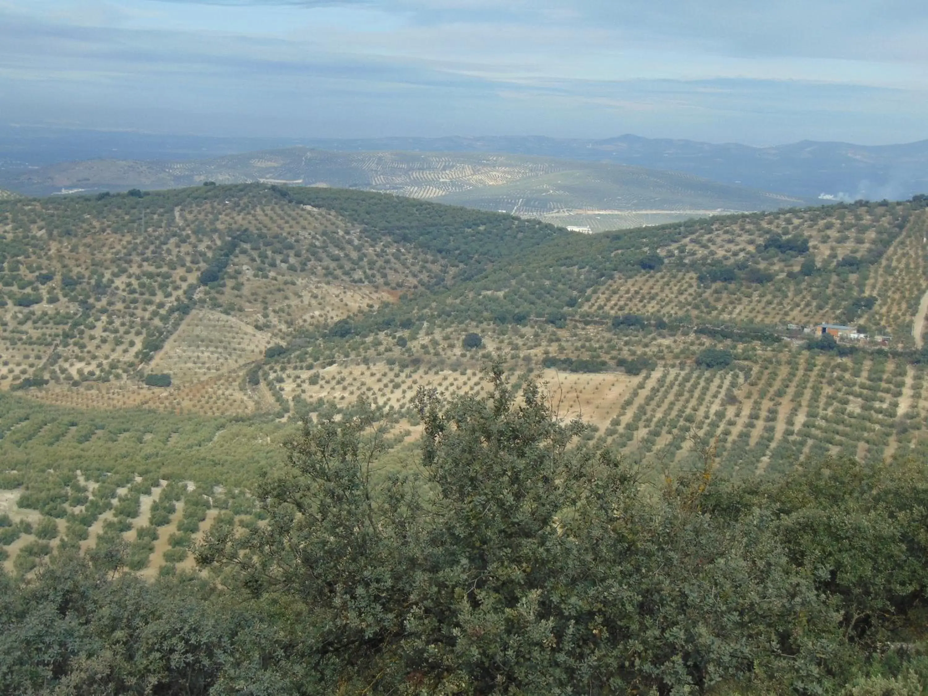 Area and facilities, Bird's-eye View in Hotel Sierra de Araceli Lucena