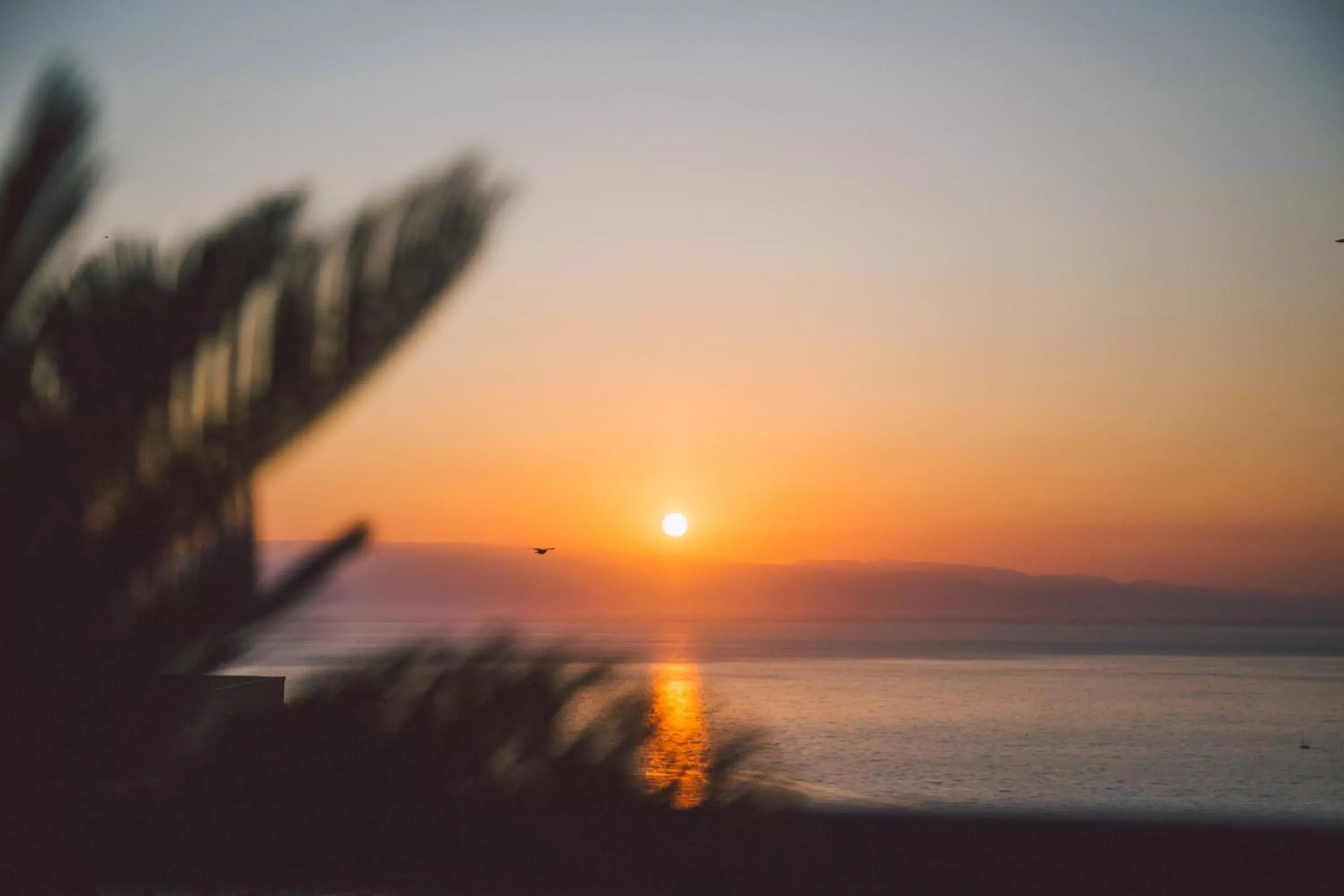 Sea view, Sunrise/Sunset in Taormina Palace Hotel