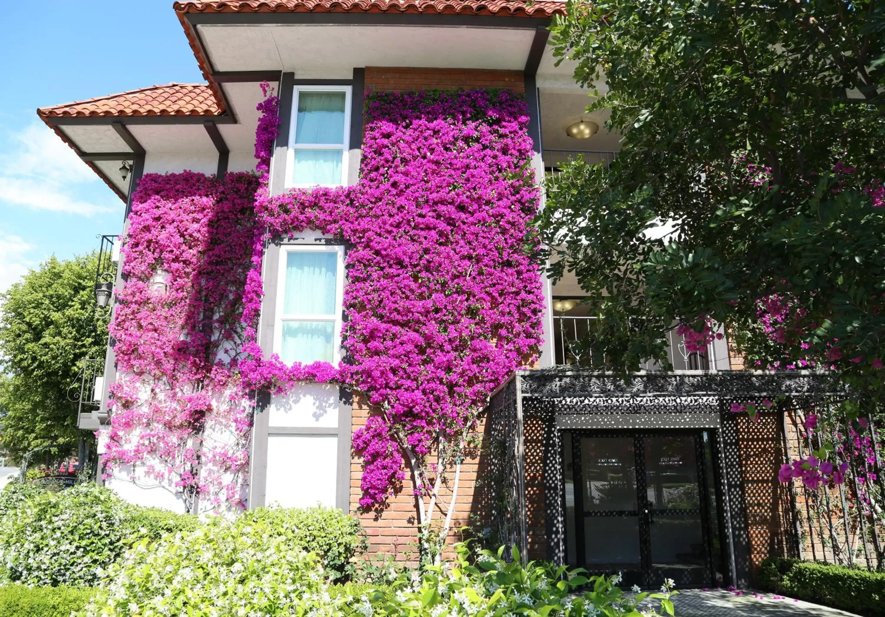 Property building in Laguna Hills Lodge-Irvine Spectrum Property building in Laguna Hills Lodge-Irvine Spectrum