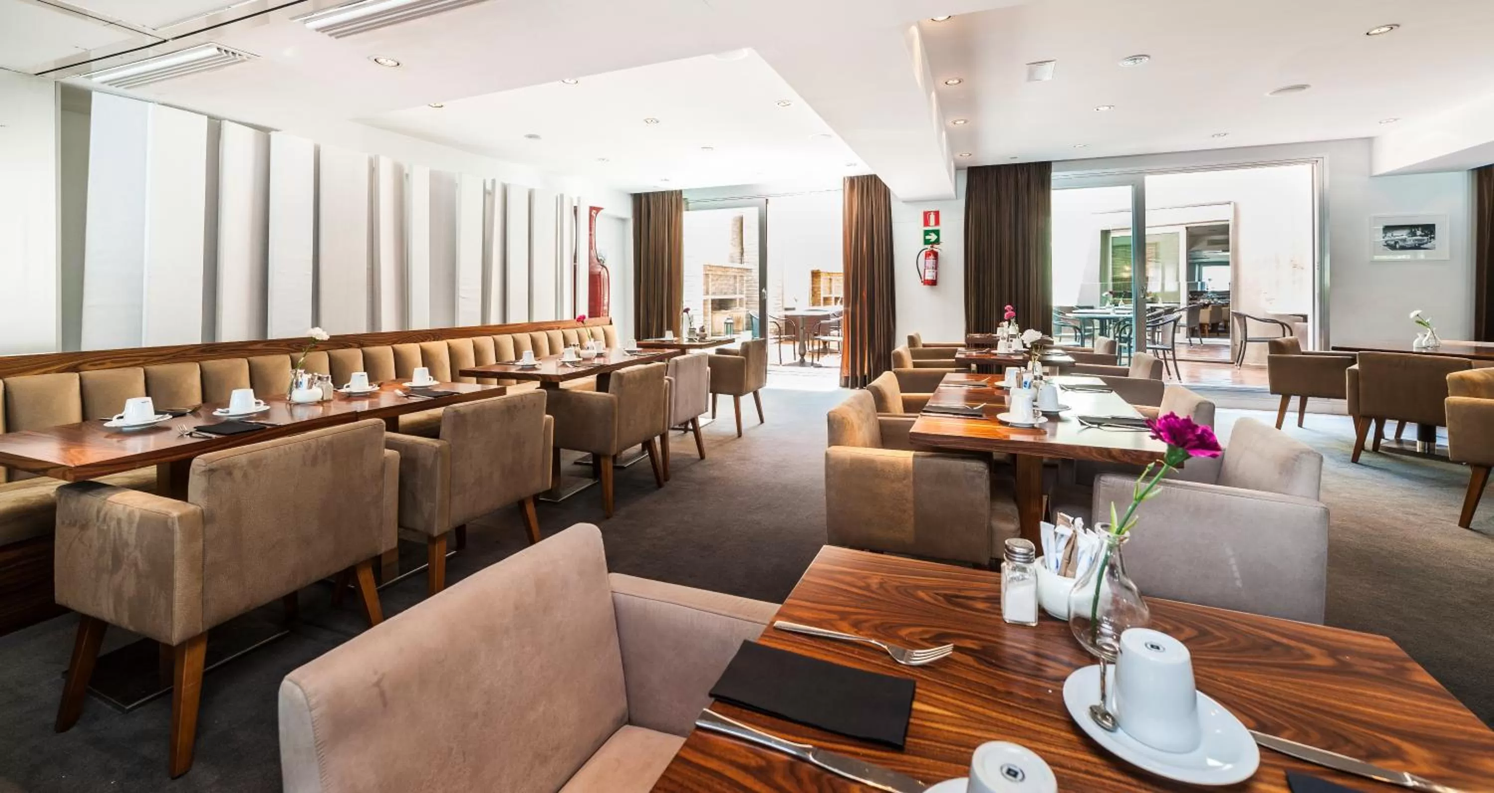 Food and drinks in Palacio Avenida