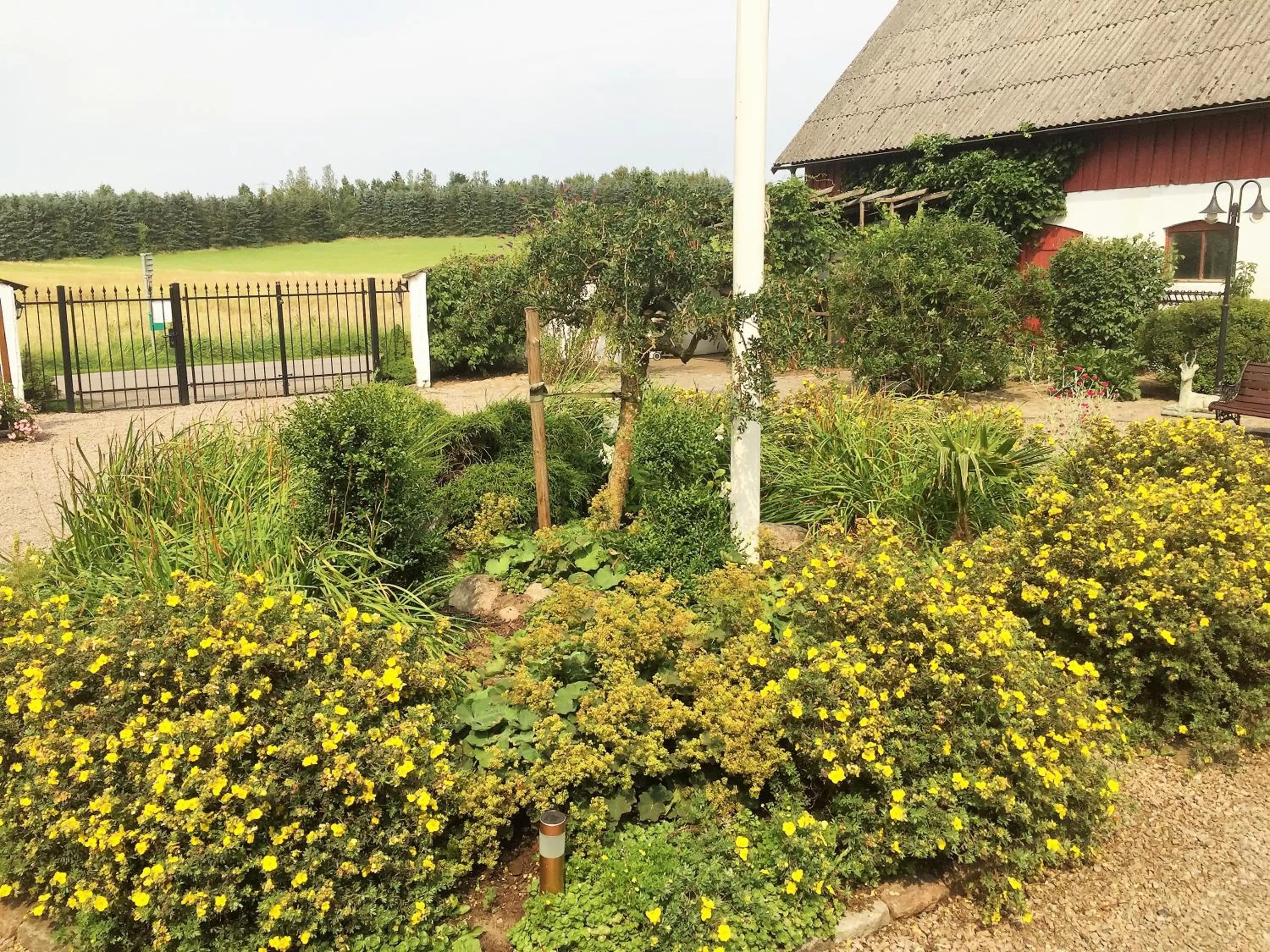 Time of day in Mattisgården Bed & Breakfast