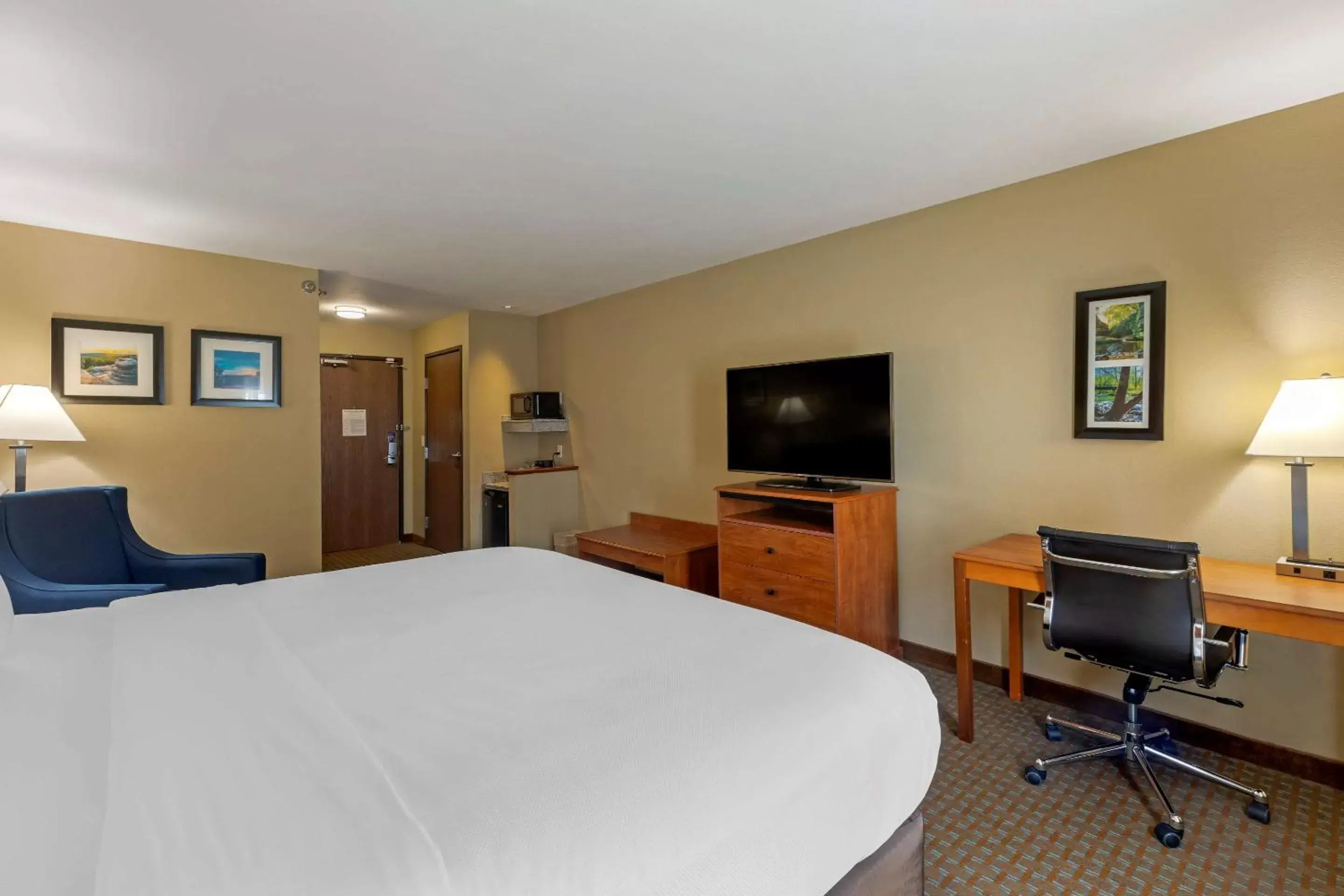 Bedroom, TV/Entertainment Center in Comfort Inn & Suites Marion I-57