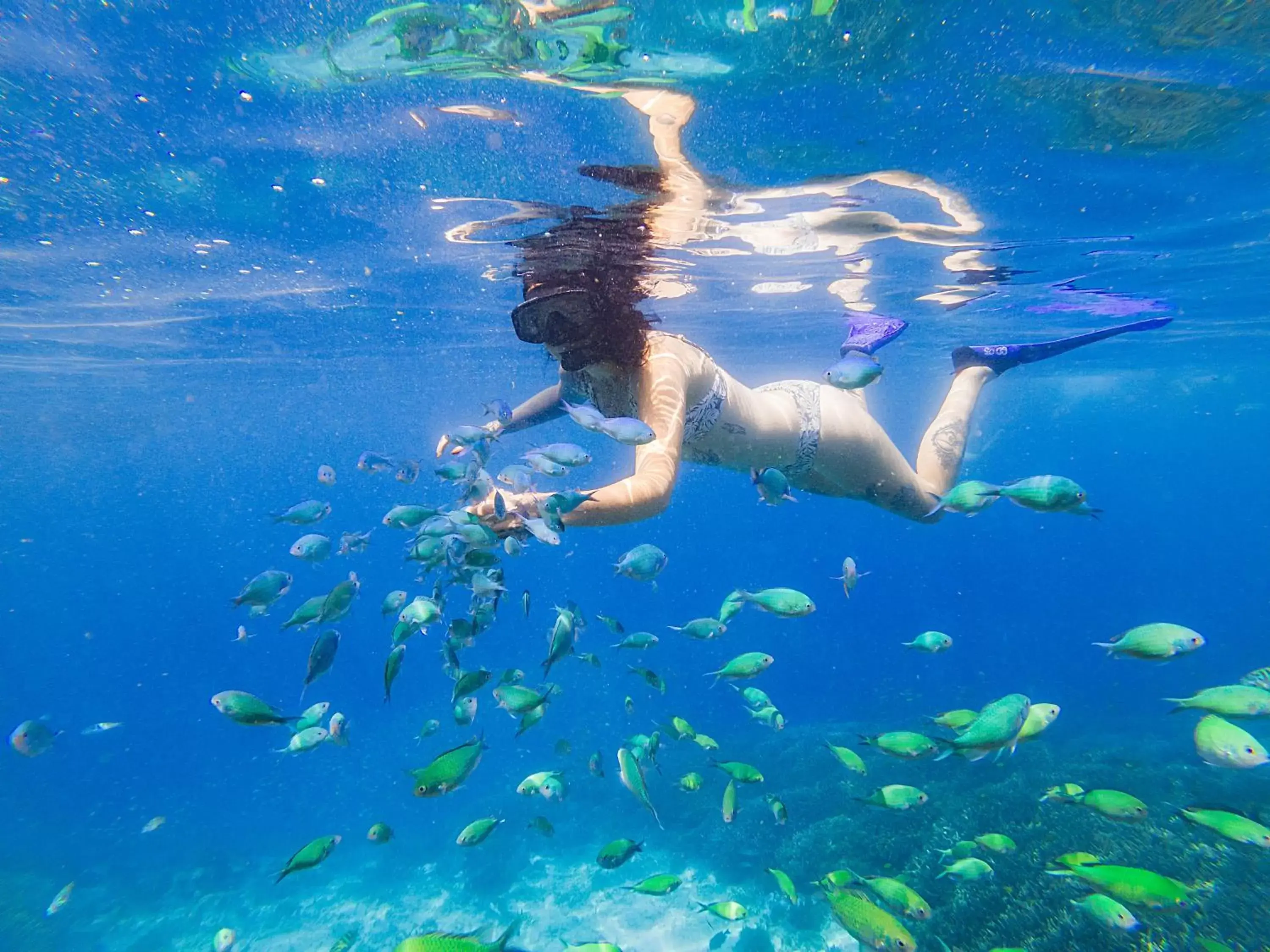 People, Snorkeling/Diving in Villa Almarik Resort