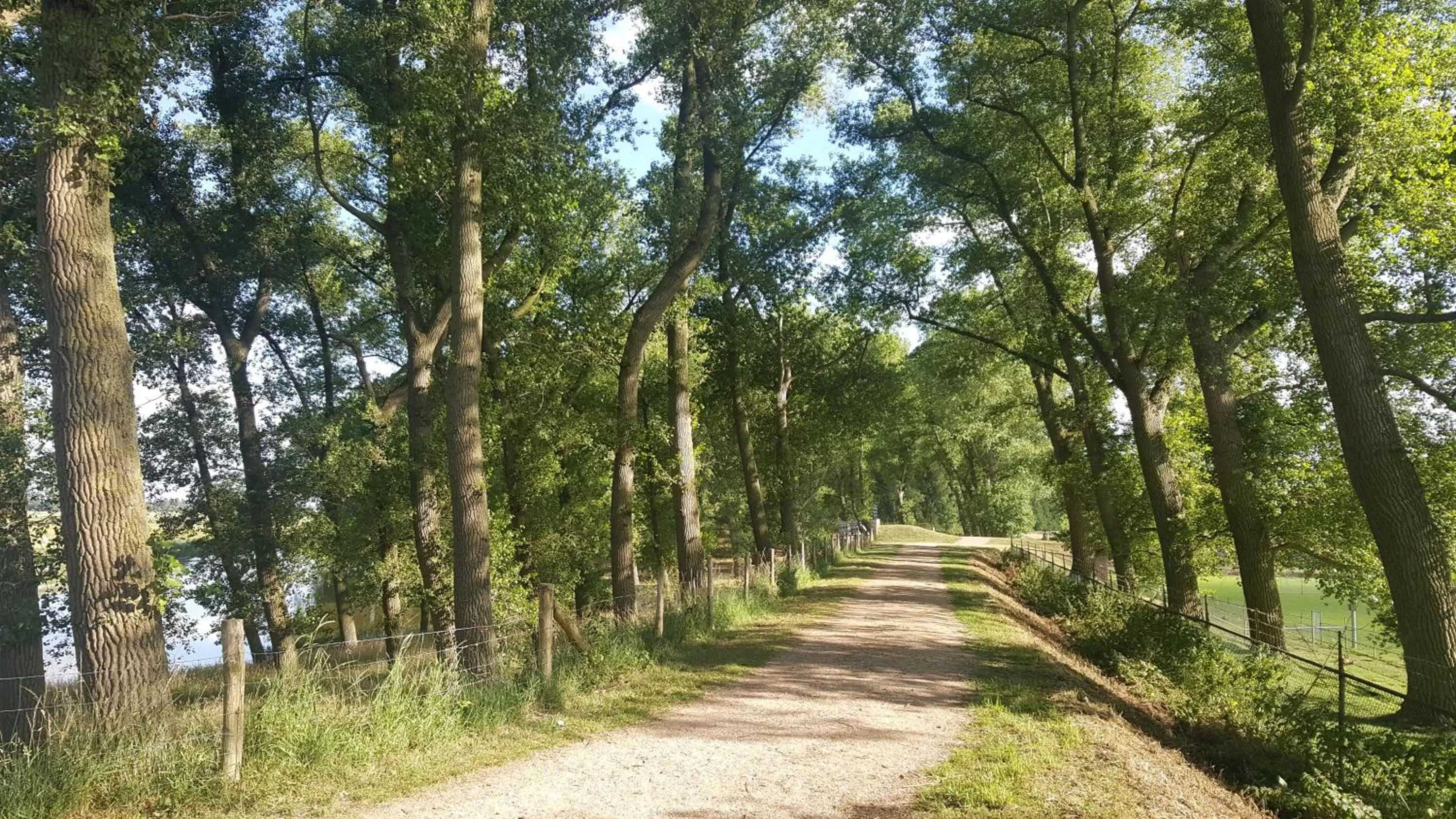 Natural landscape in Hotel Le Provencal
