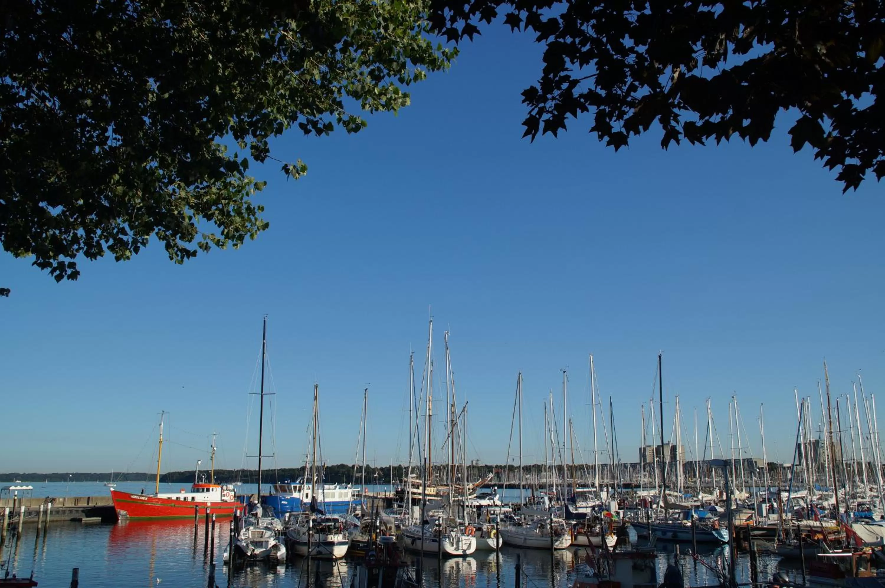 Area and facilities in ACQUA Strande Yachthotel & Restaurant