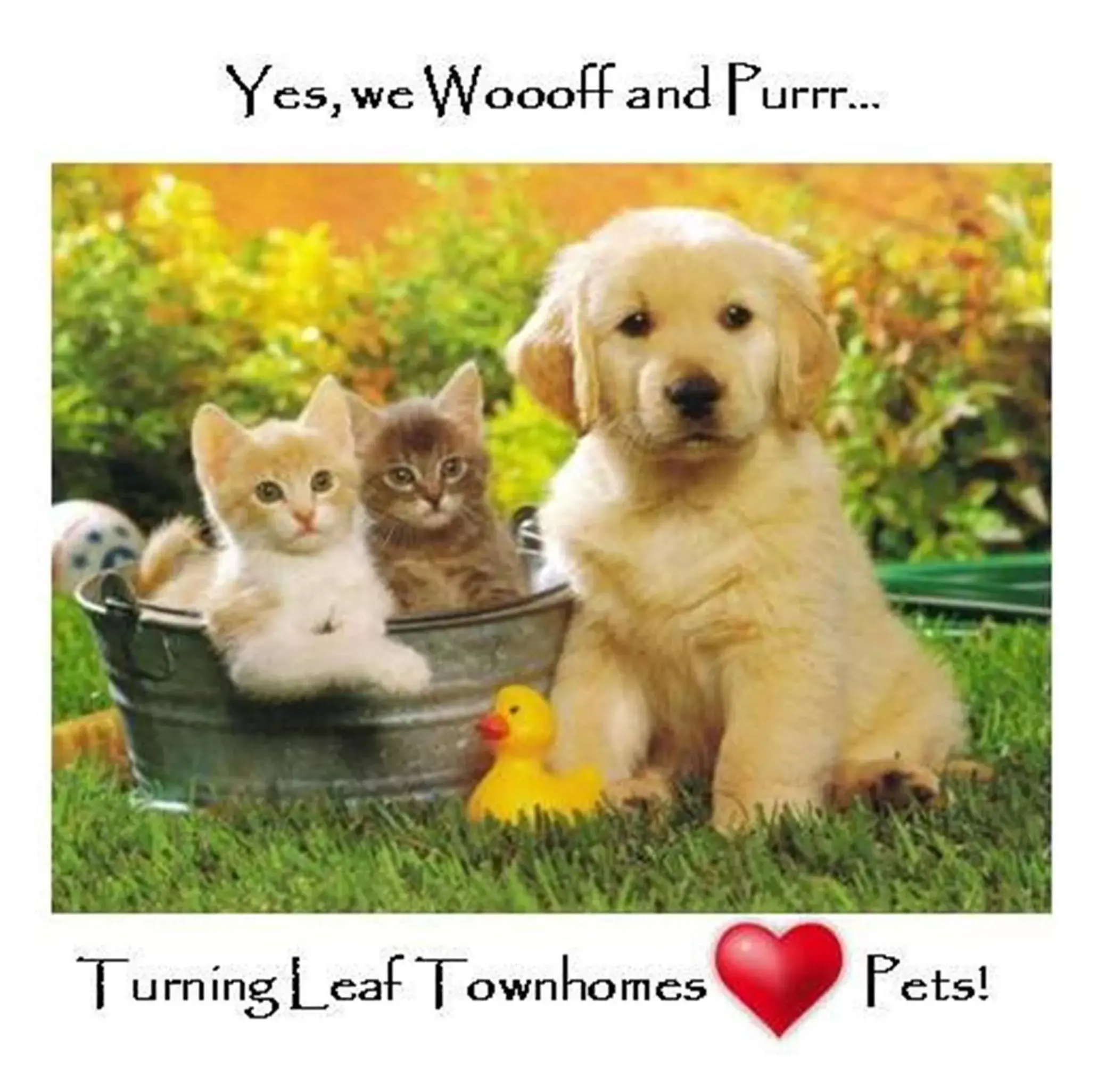 Pets in Turning Leaf Townhome Suites