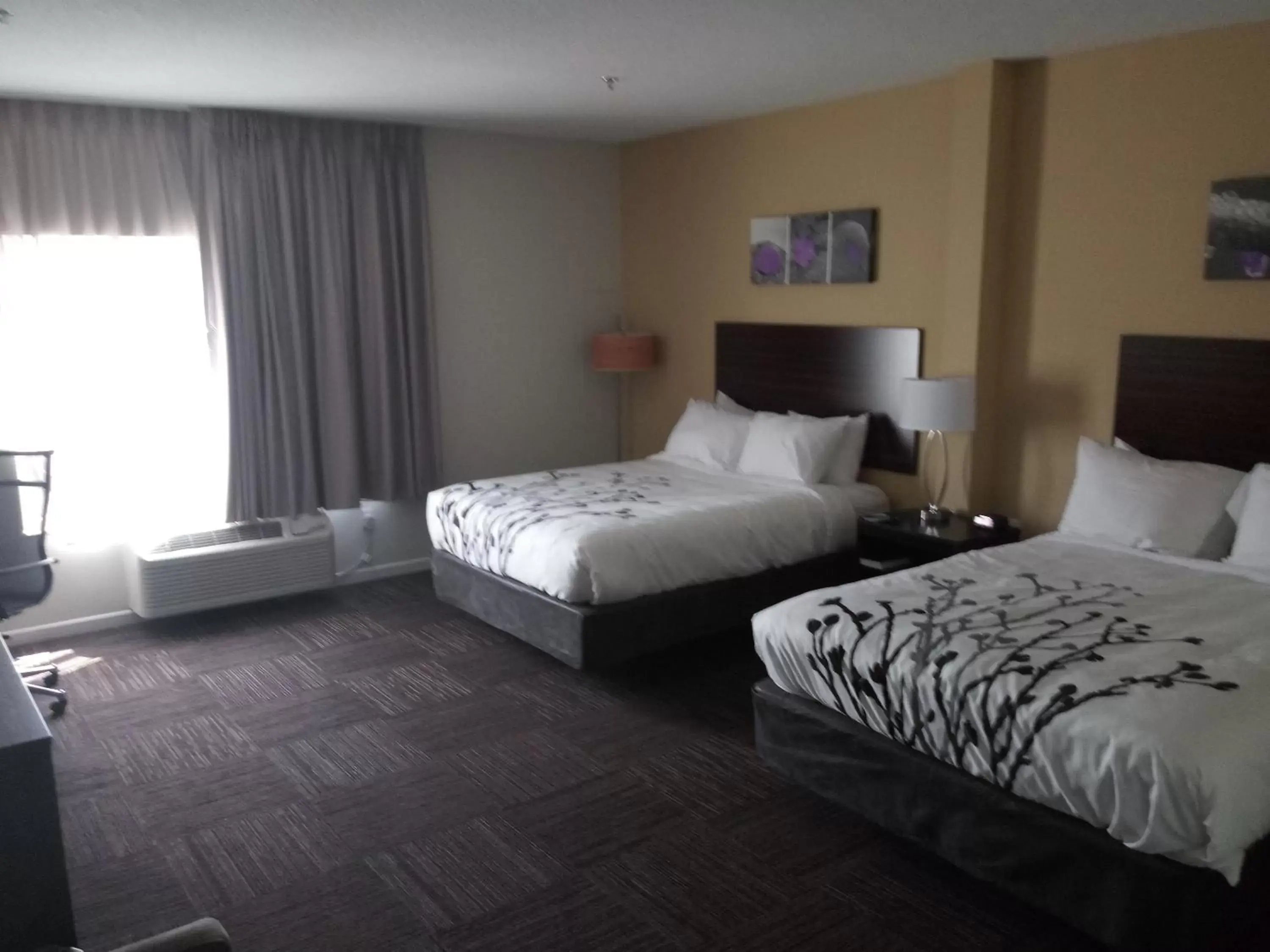 Guests, Bed in Sleep Inn & Suites Wisconsin Rapids