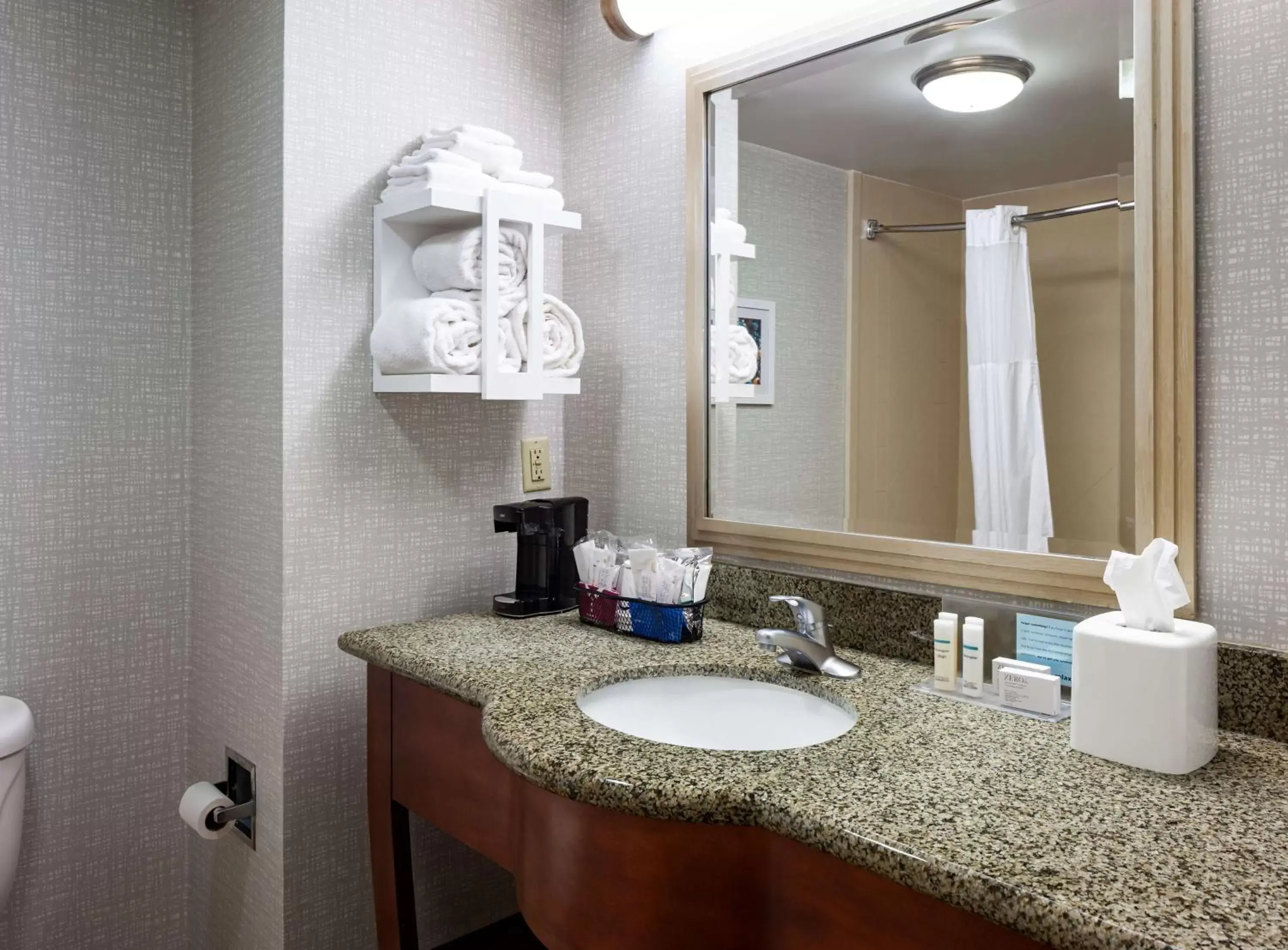 Bathroom in Hampton Inn & Suites Mobile I-65@ Airport Boulevard