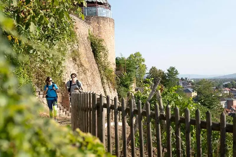 Hiking in Landhotel Kauzenberg