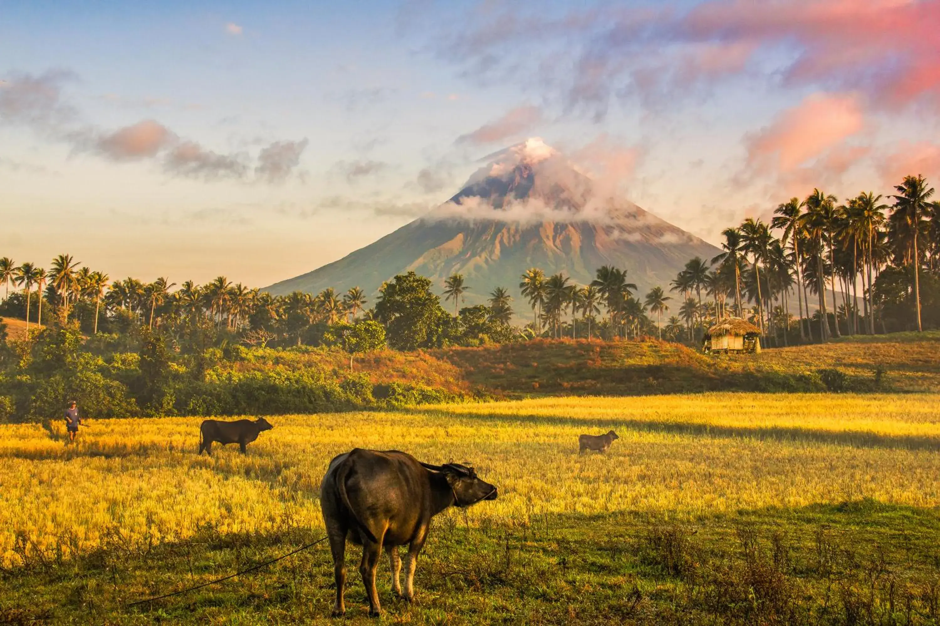 Nearby landmark, Other Animals in RedDoorz @ Golite Washington