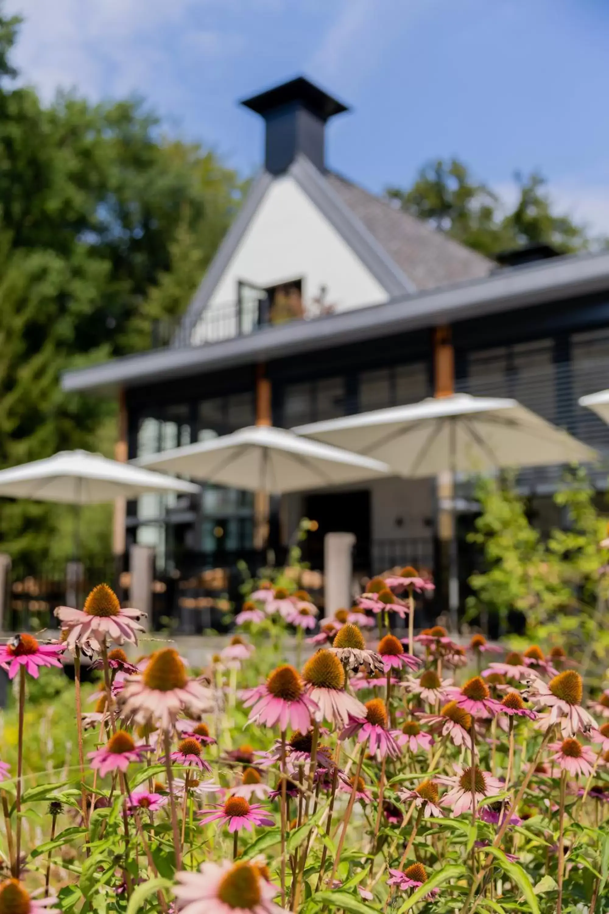 Property Building in Boutique Hotel Beekhuizen