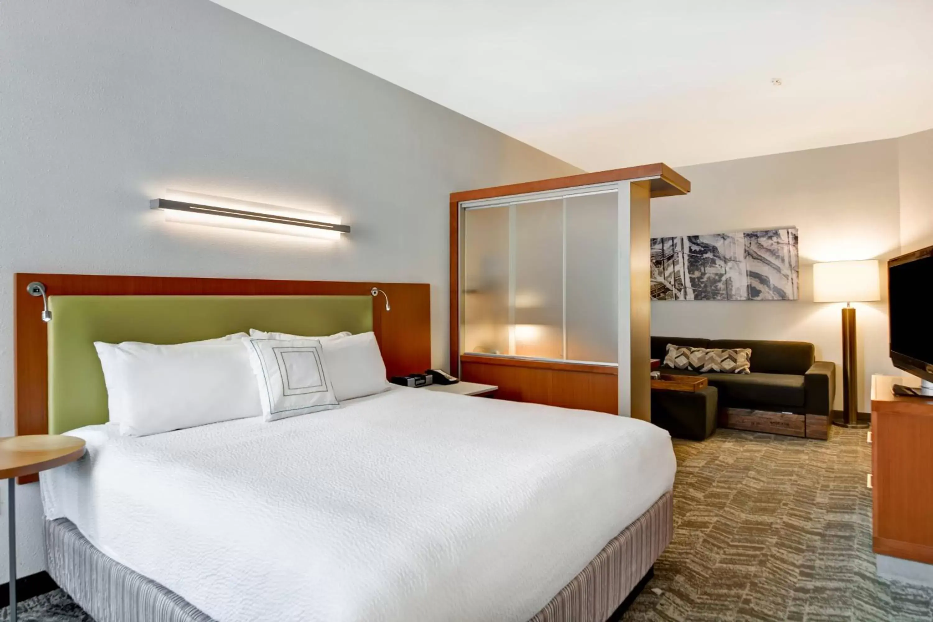 Photo of the whole room, Bed in SpringHill Suites by Marriott Cincinnati Midtown