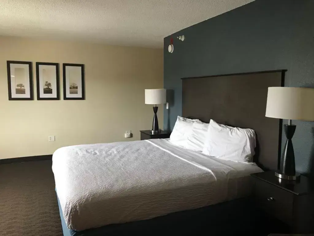 Bed in AmericInn by Wyndham Hotel and Suites Long Lake