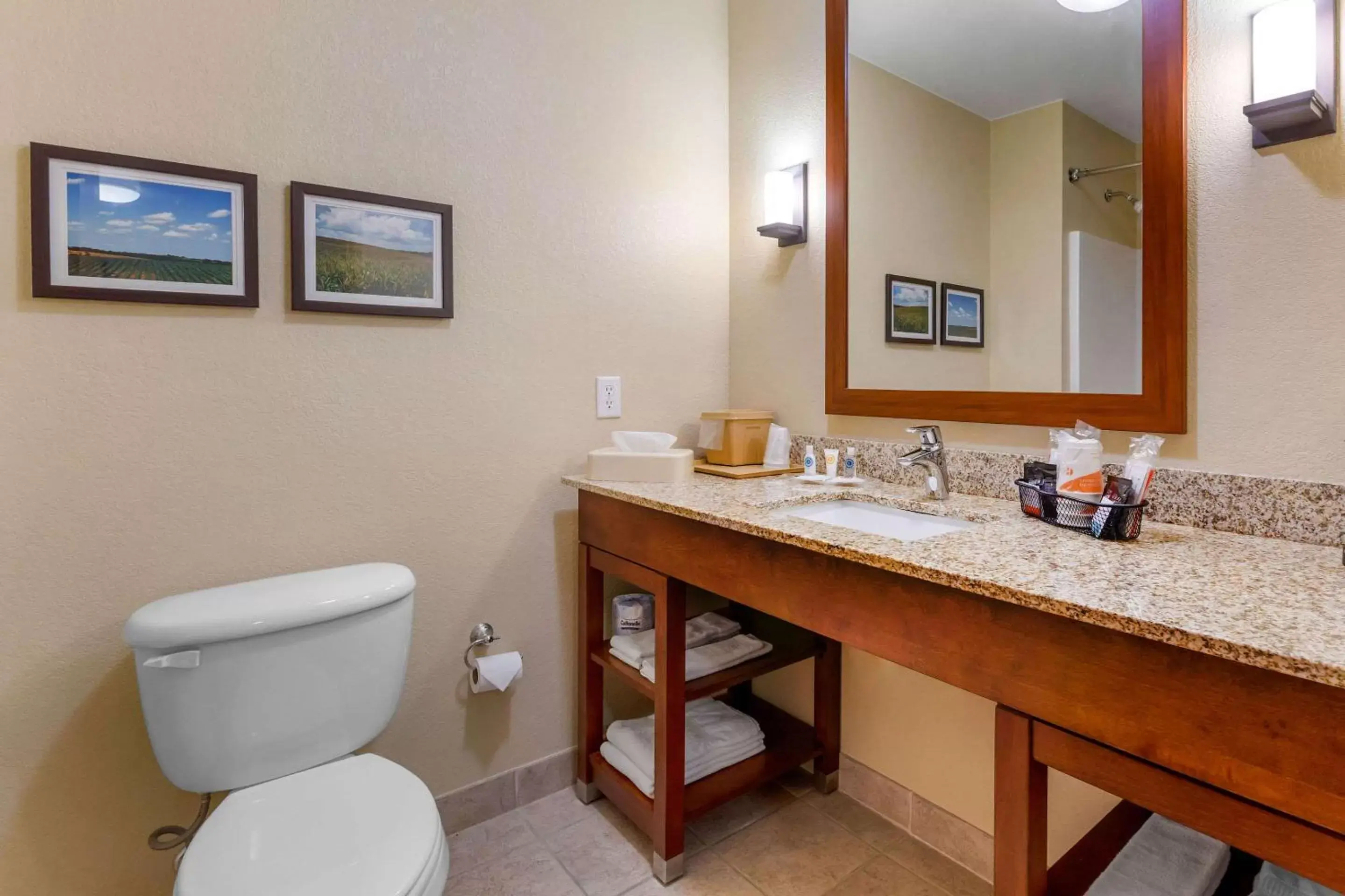 Photo of the whole room, Bathroom in Comfort Suites Burlington