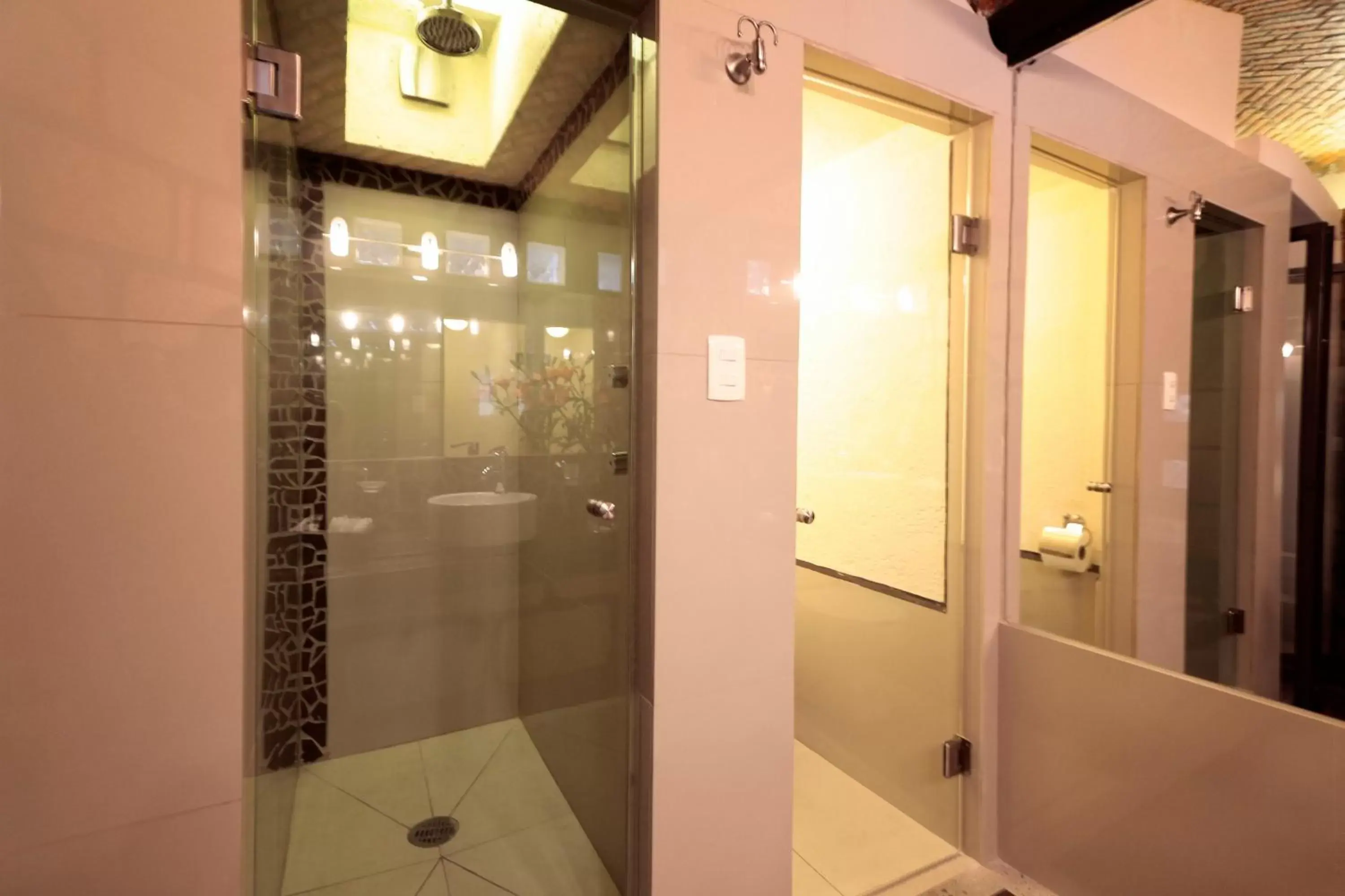 Shower, Bathroom in Aztic Hotel and Executive Suites