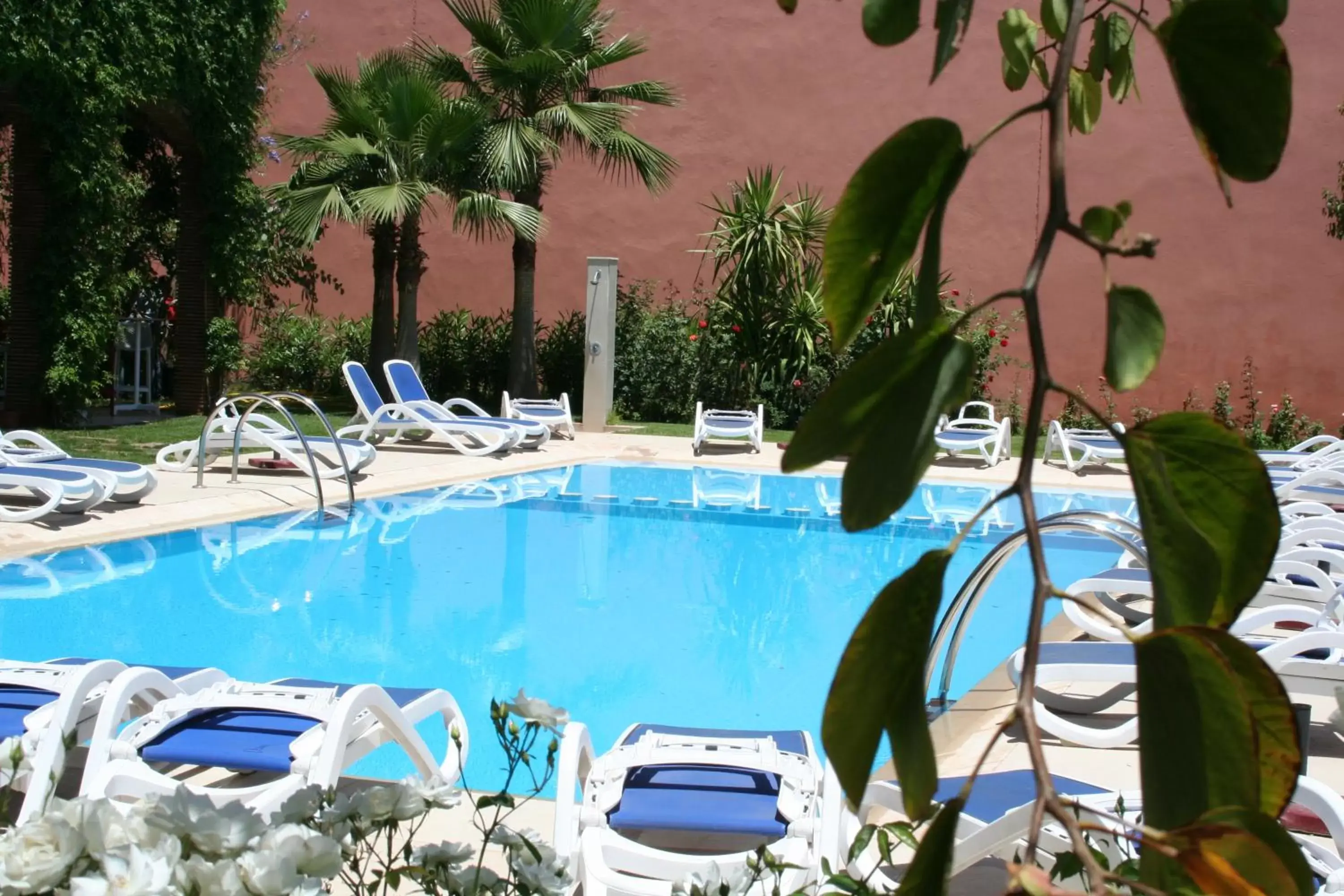 Pool view, Swimming Pool in Hotel Relax Marrakech