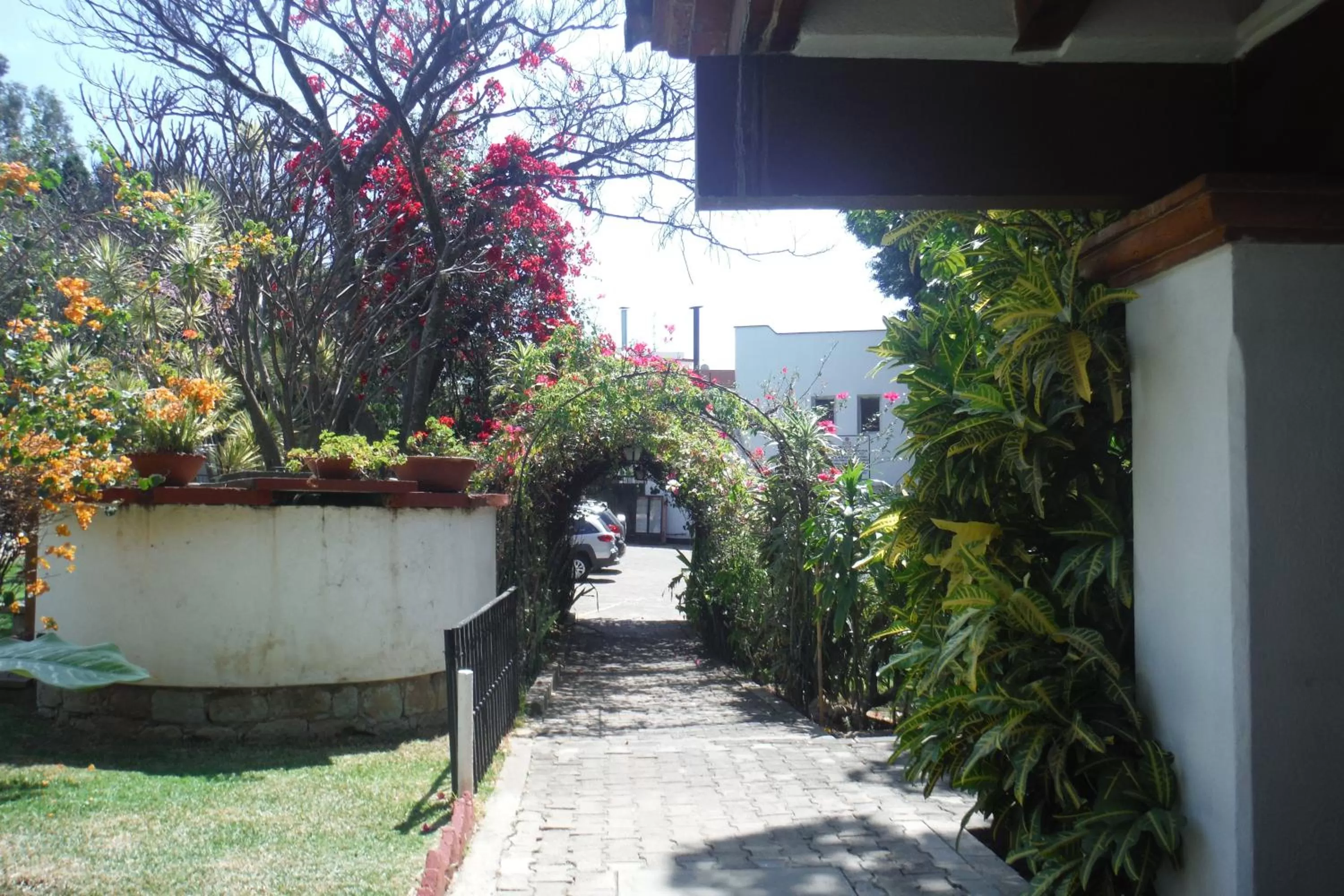 Garden in Mision De Los Angeles