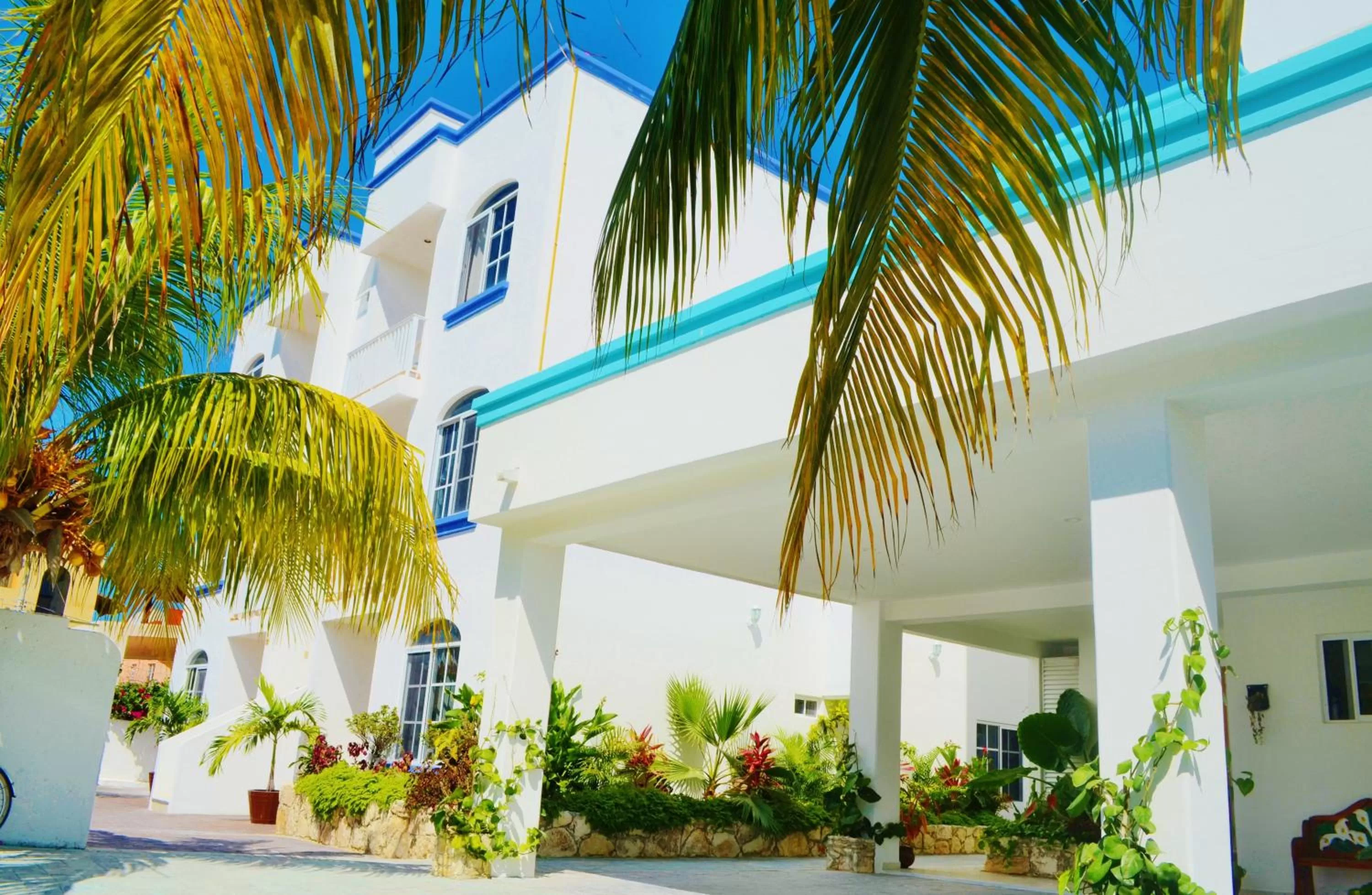 Property building in Corales Suites
