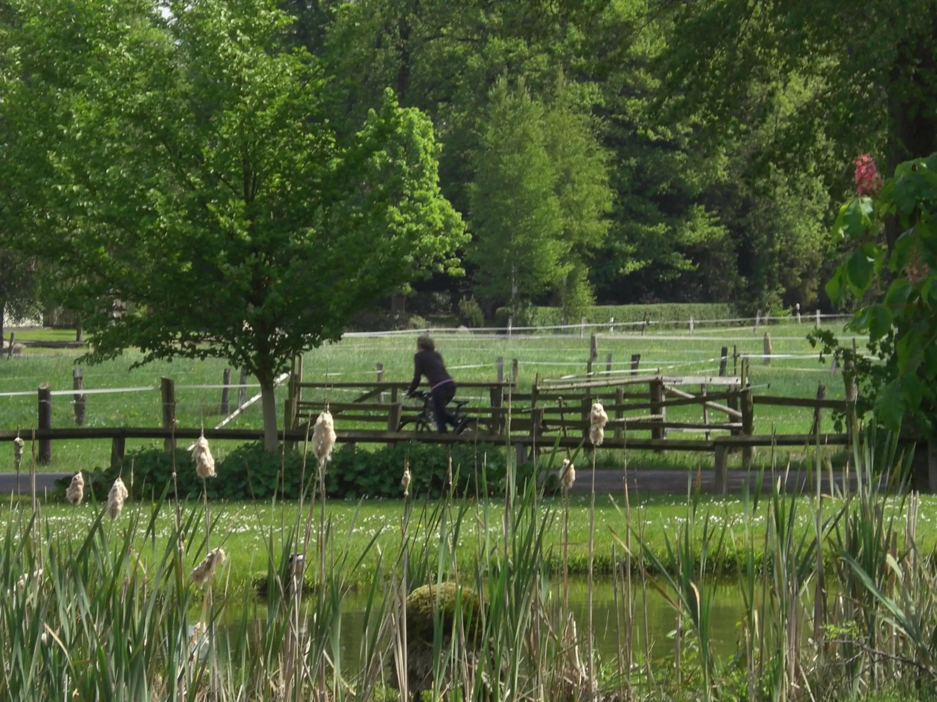 Natural landscape in Ringhotel Forellenhof