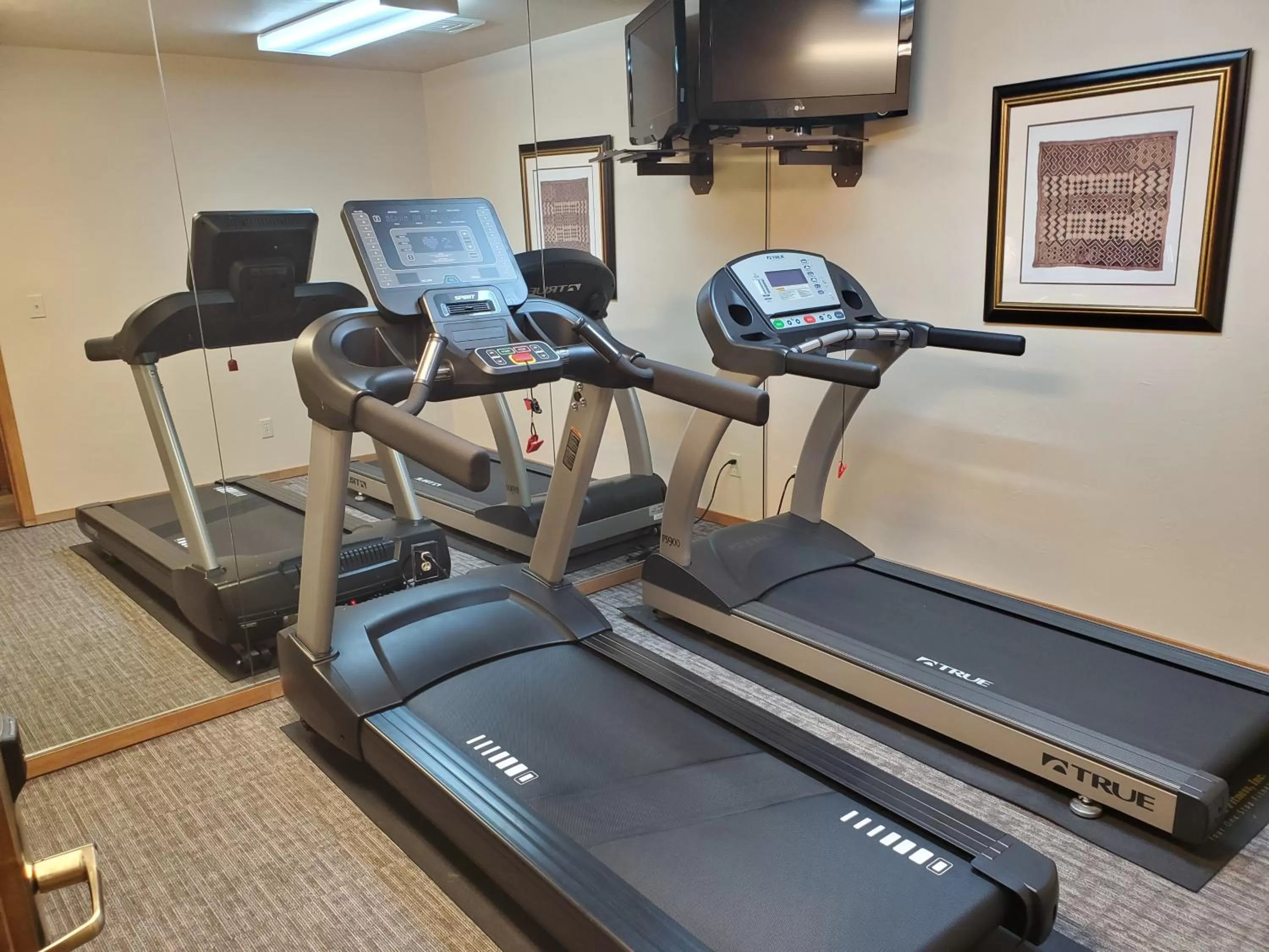 Fitness centre/facilities in Homestead Suites - Fish Creek