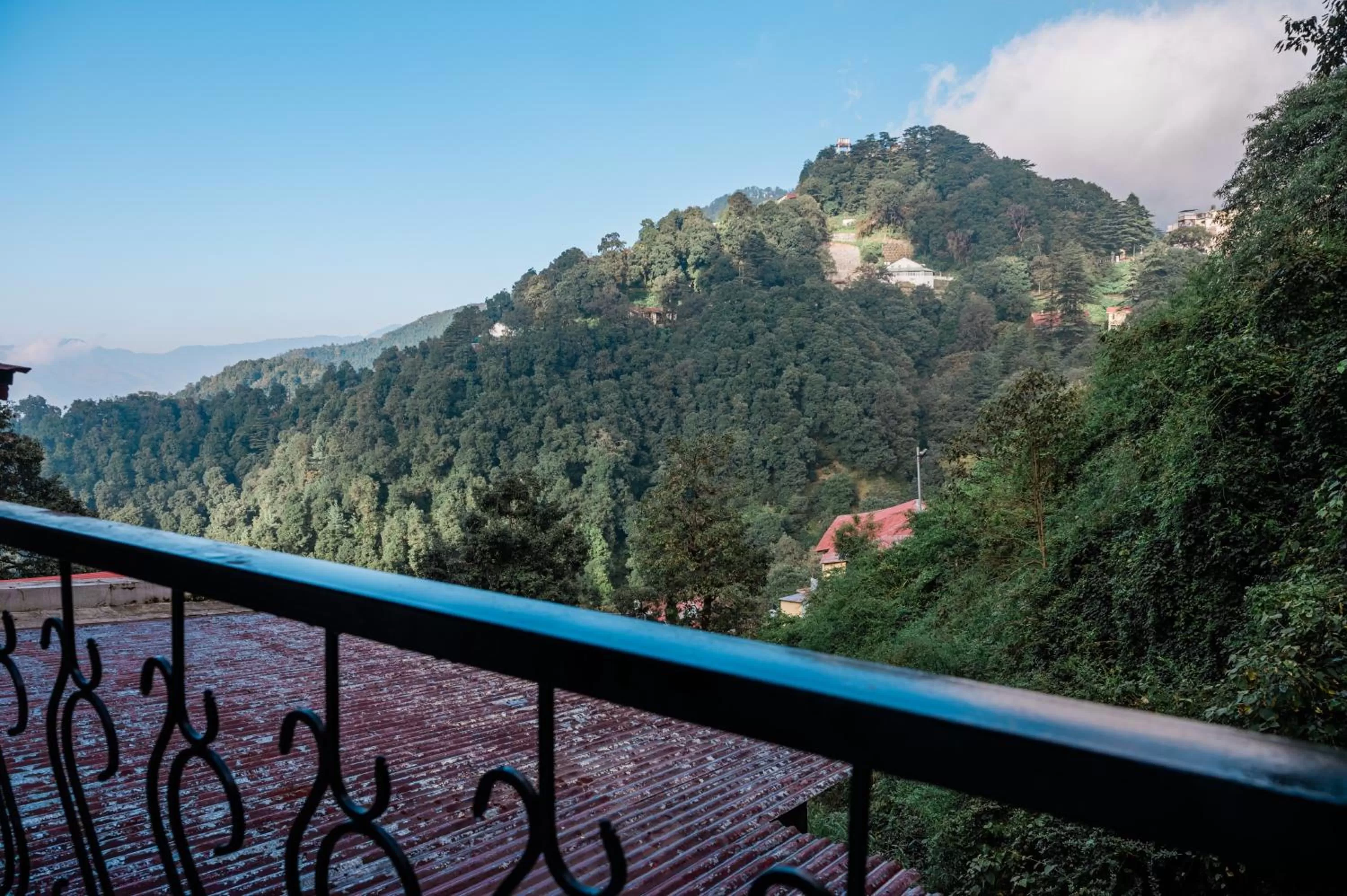 Natural landscape in Hotel Shiva Continental