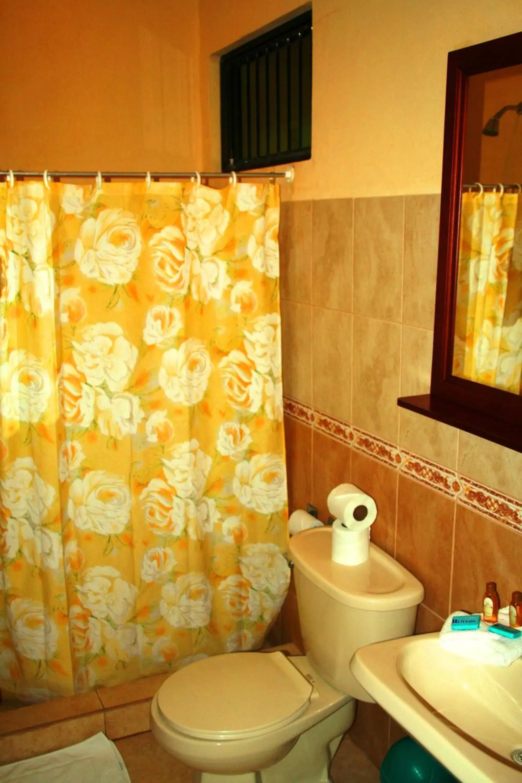 Shower, Bathroom in Balcon del Mar Beach Front Hotel